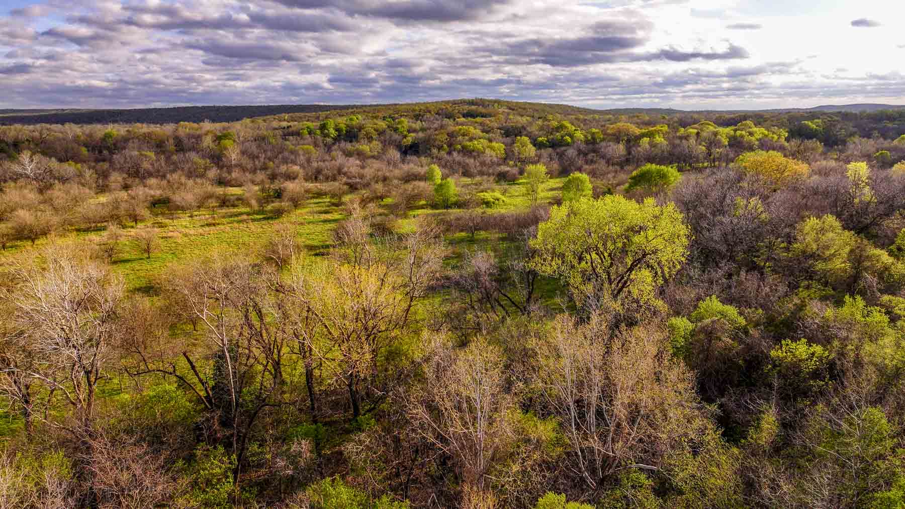Hilseweck Ranch property picture 22 of 92