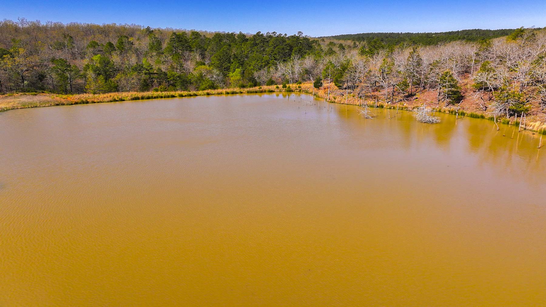 Hilseweck Ranch property picture 17 of 92