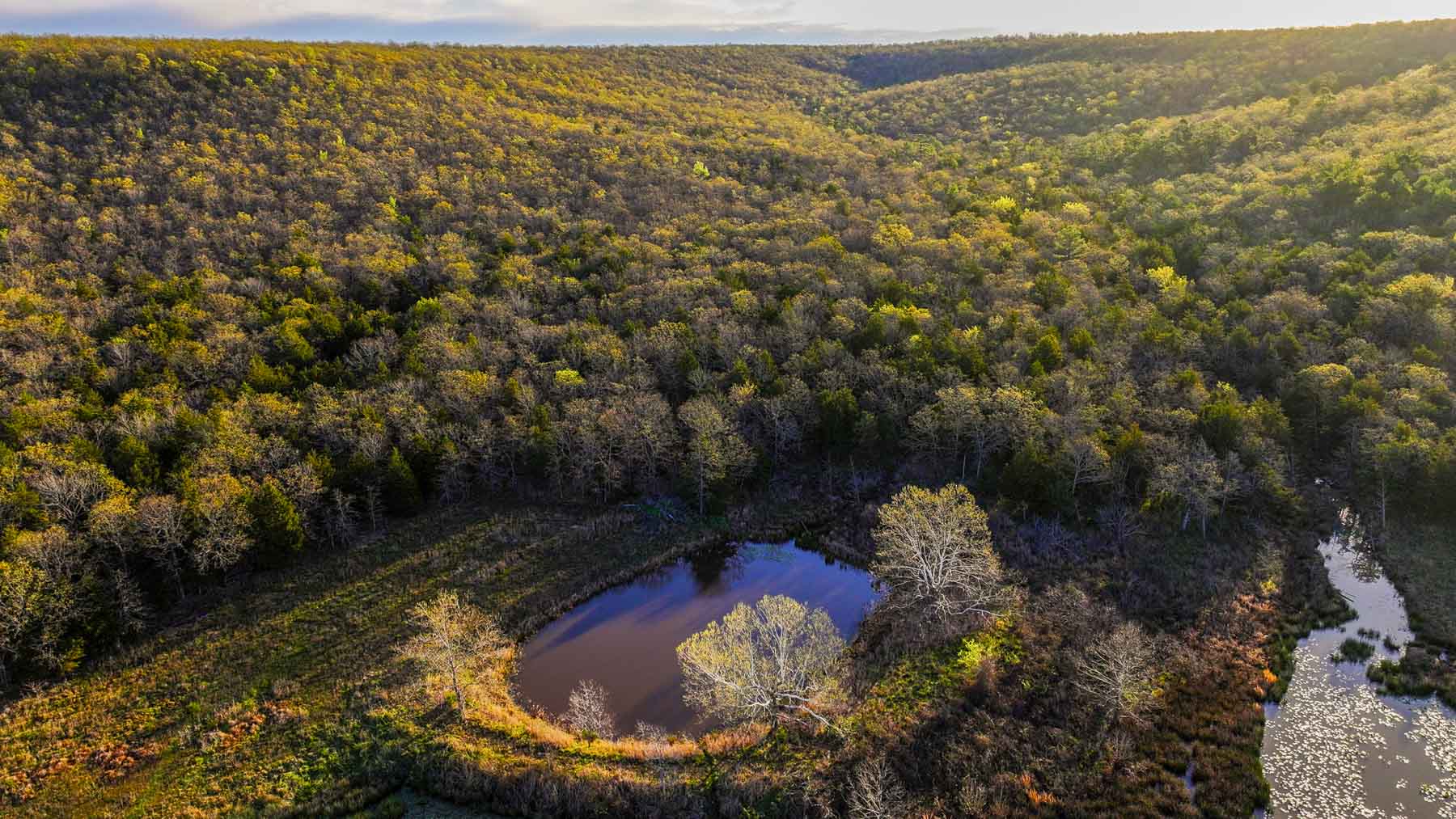 Hilseweck Ranch property picture 9 of 92