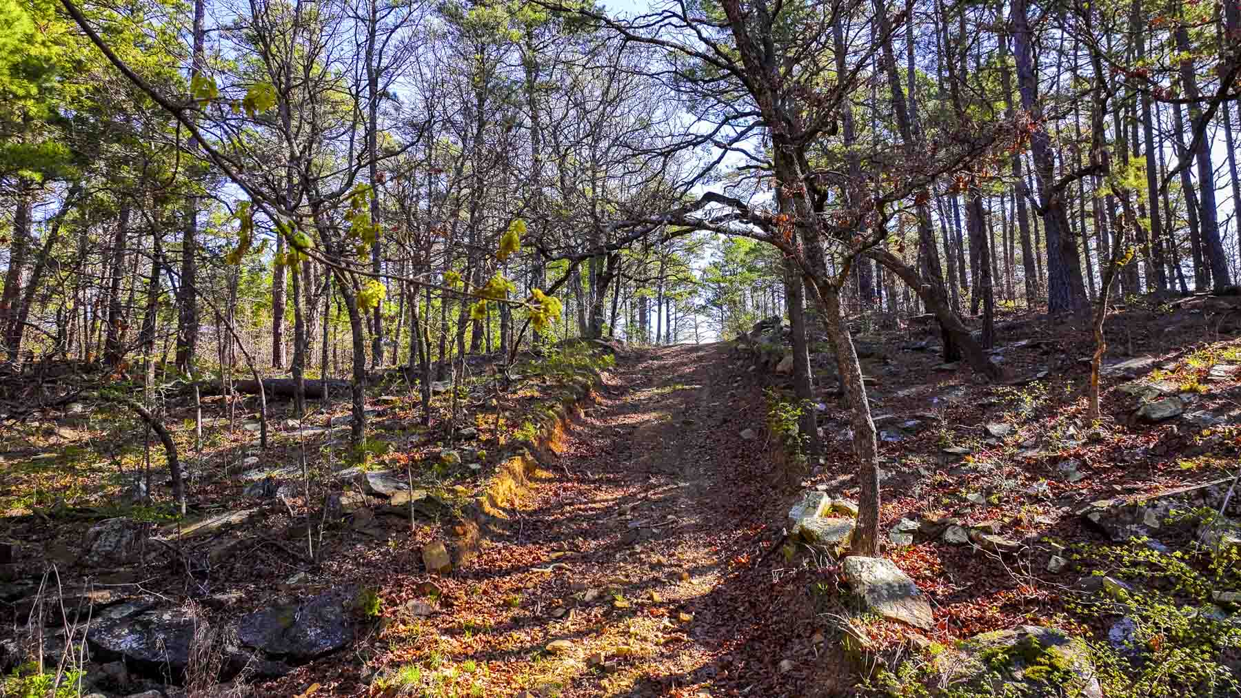 Hilseweck Ranch property picture 12 of 92