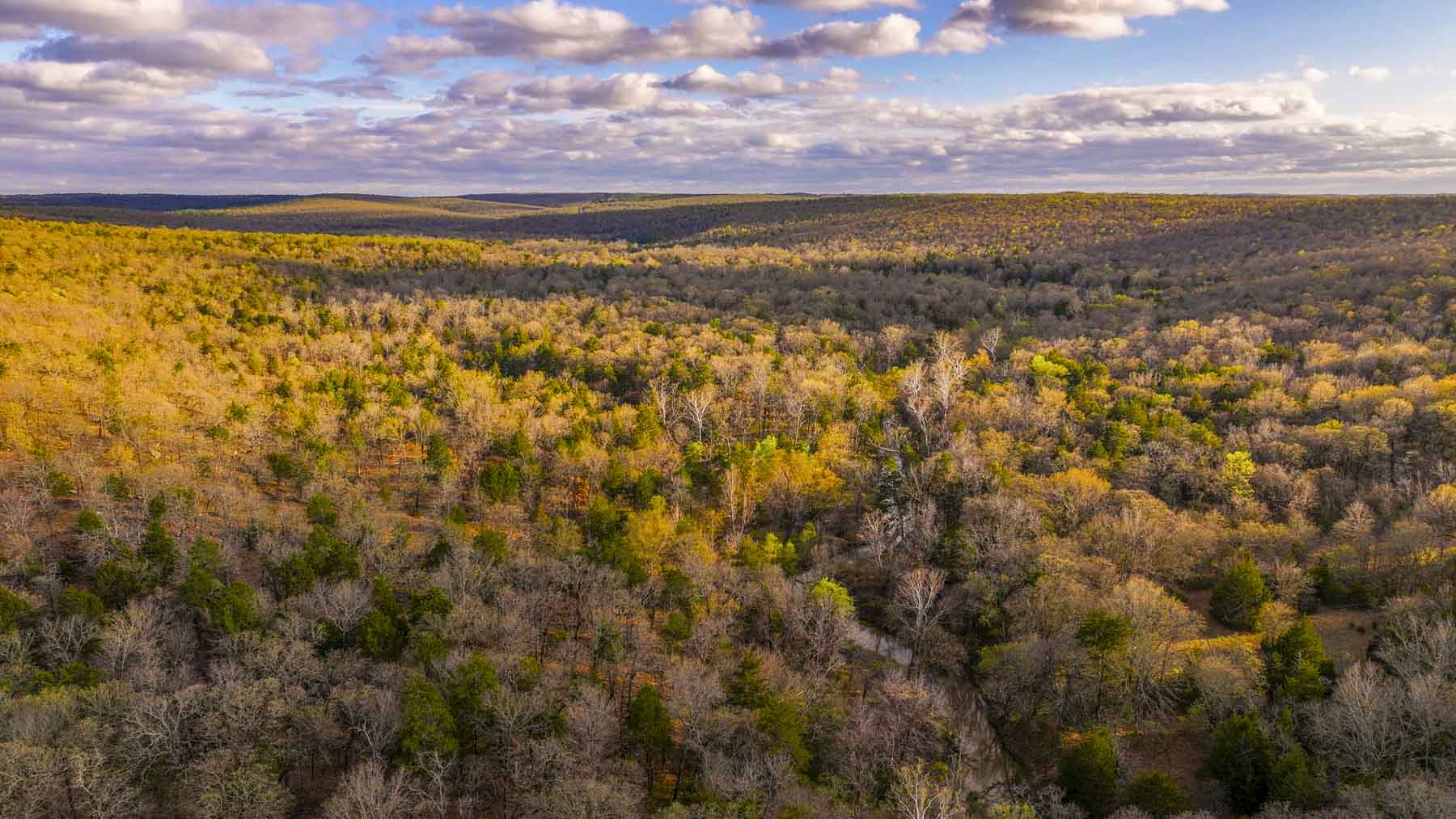 Hilseweck Ranch property picture 27 of 92