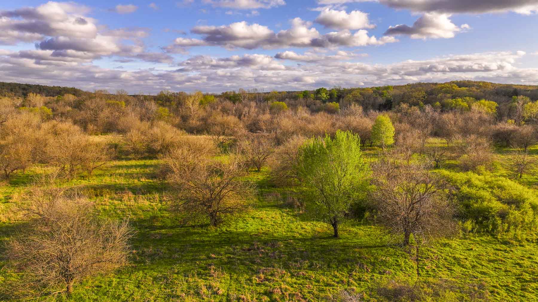 Hilseweck Ranch property picture 56 of 92