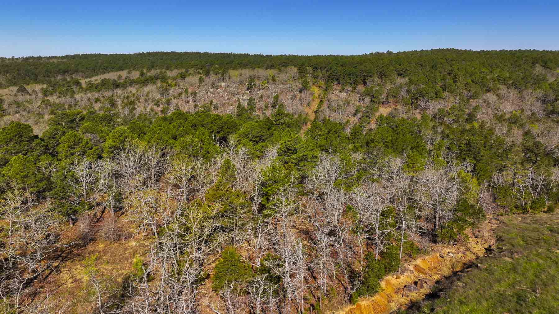 Hilseweck Ranch property picture 13 of 92