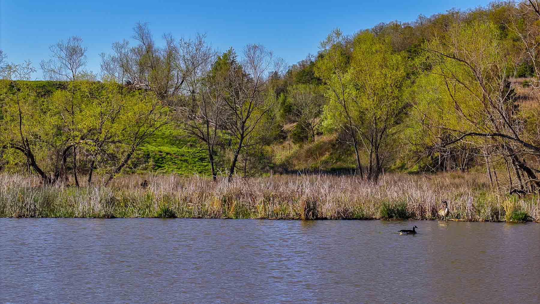 Hilseweck Ranch property picture 70 of 92