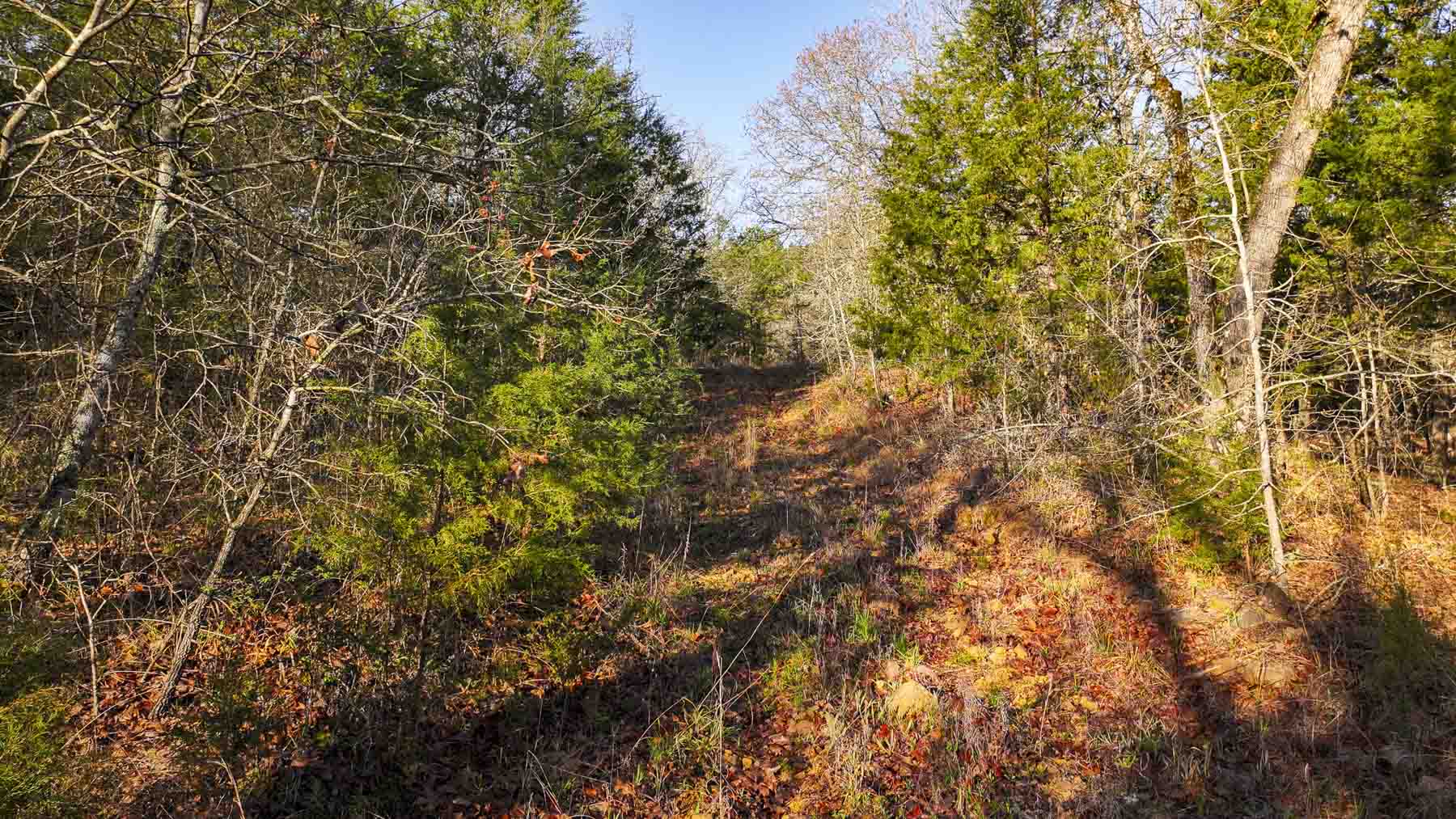 Hilseweck Ranch property picture 64 of 92