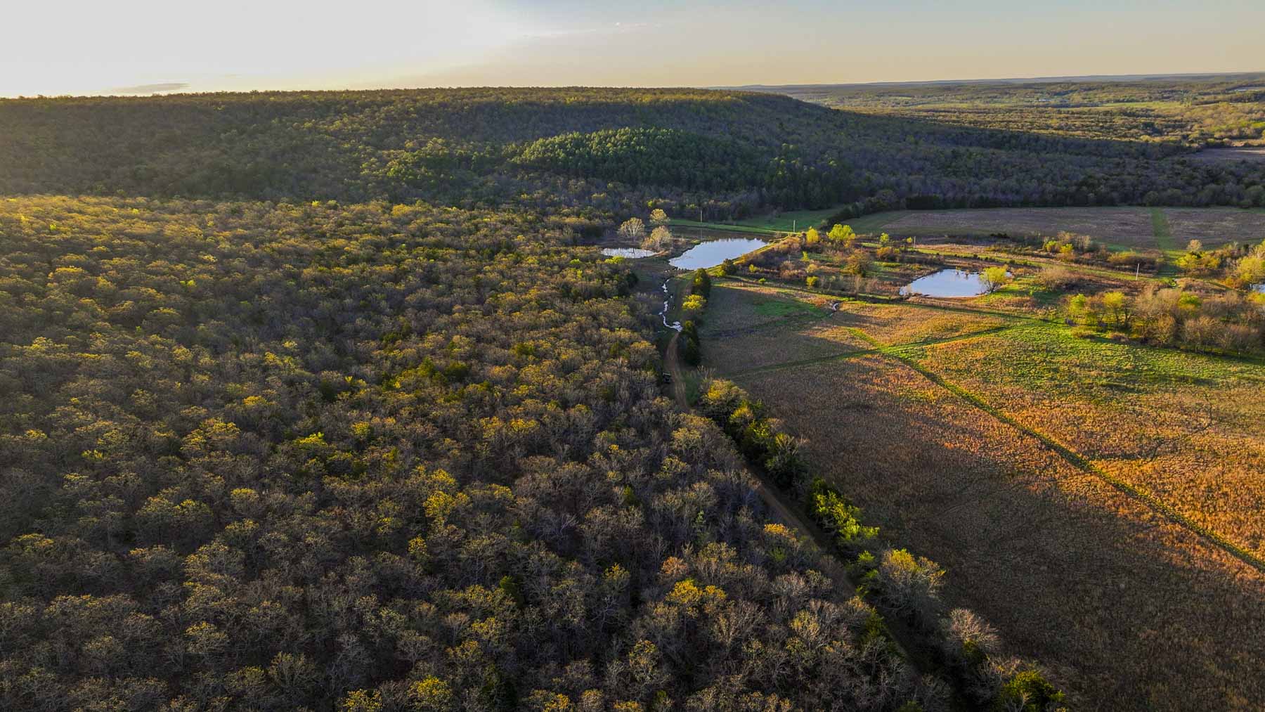 Hilseweck Ranch property picture 67 of 92