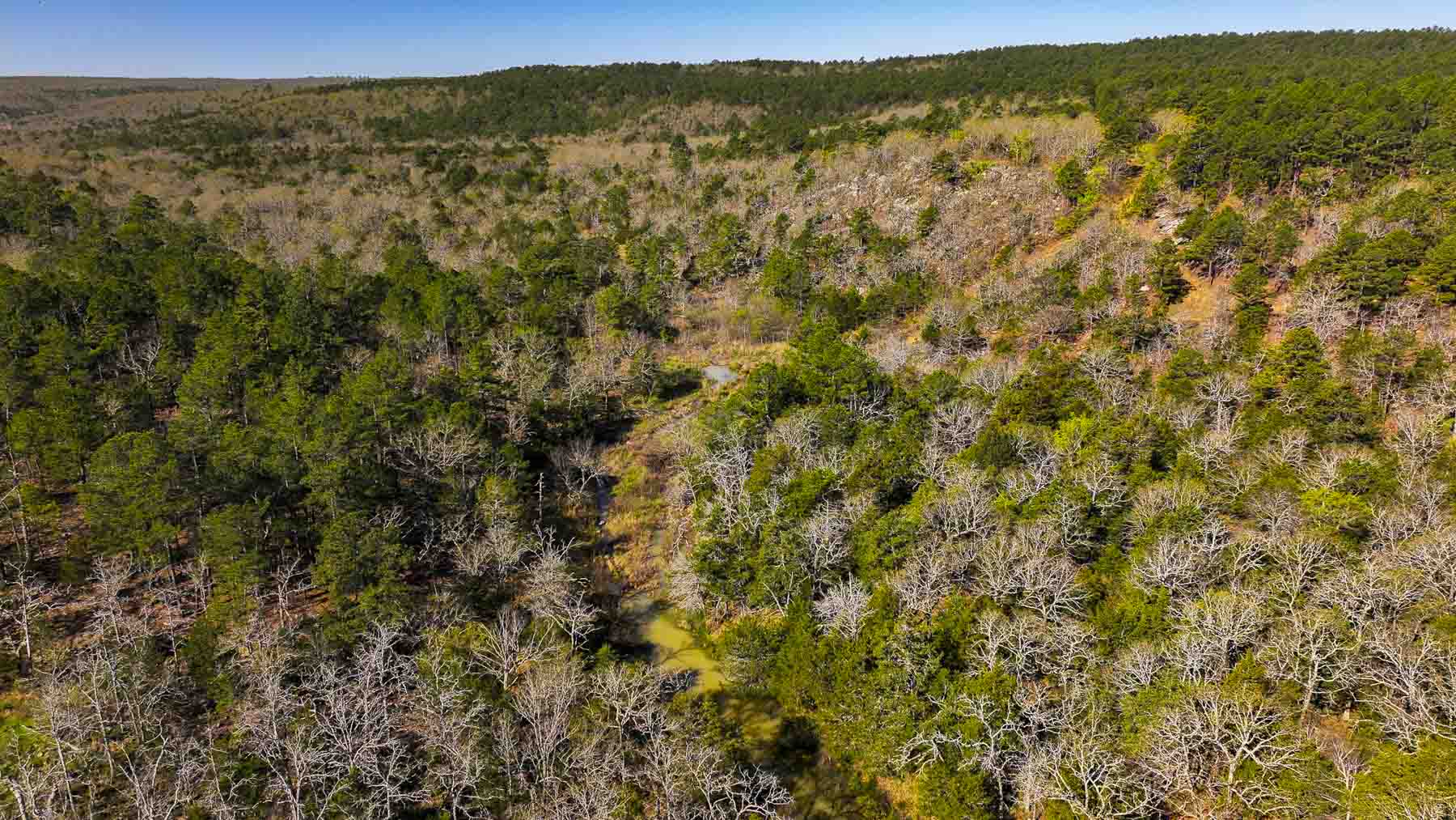 Hilseweck Ranch property picture 14 of 92