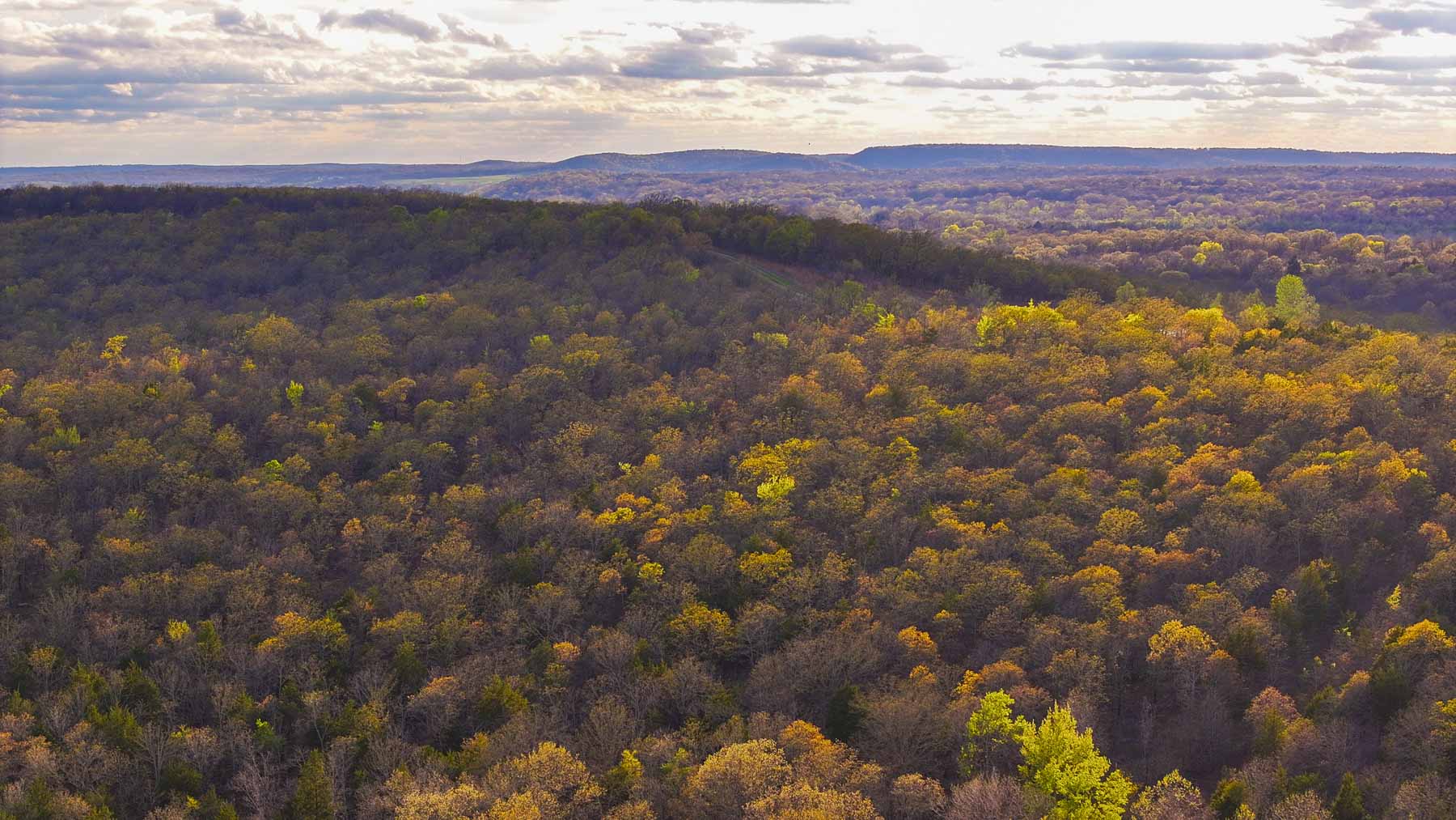 Hilseweck Ranch property picture 57 of 92