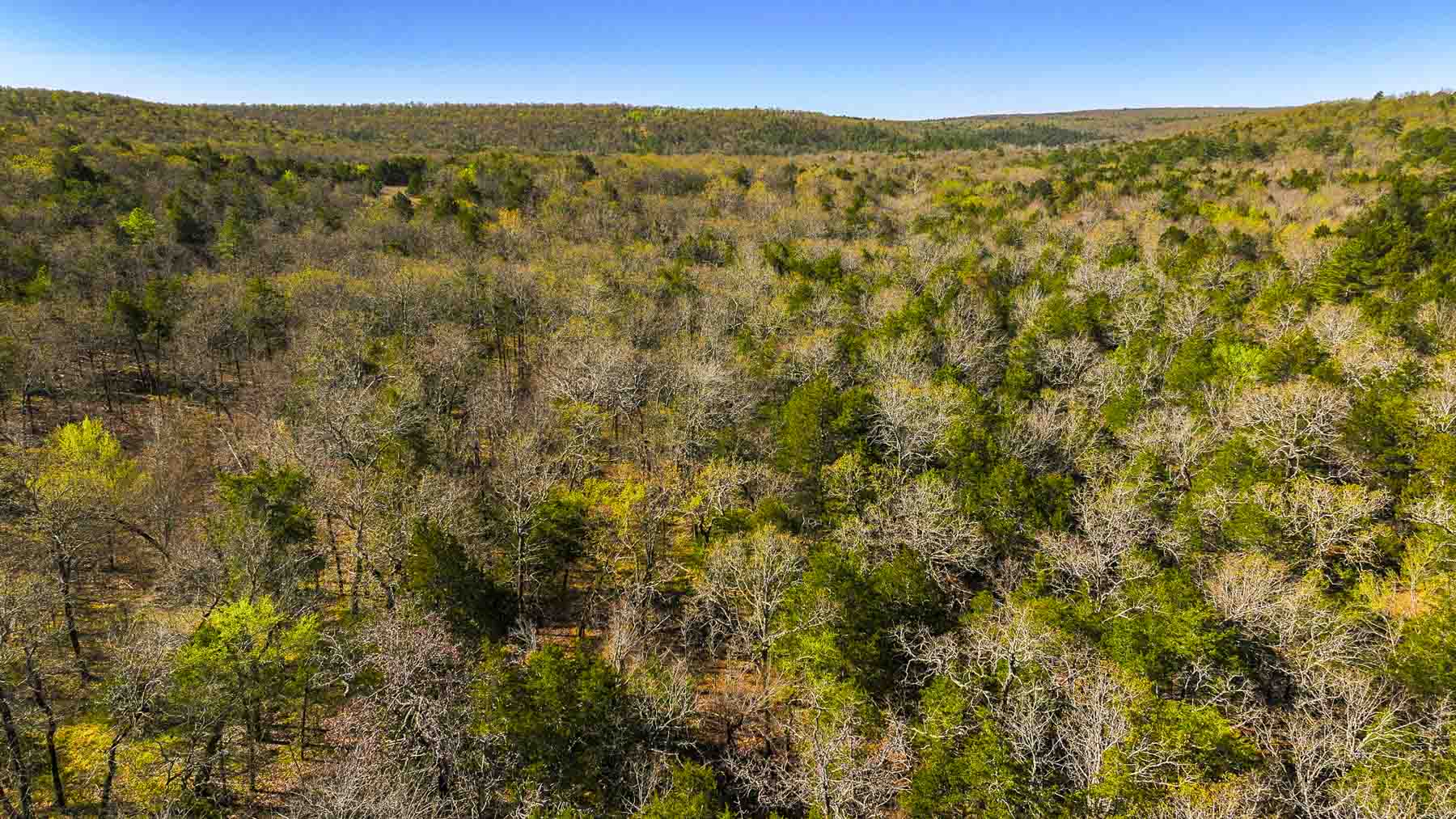 Hilseweck Ranch property picture 83 of 92