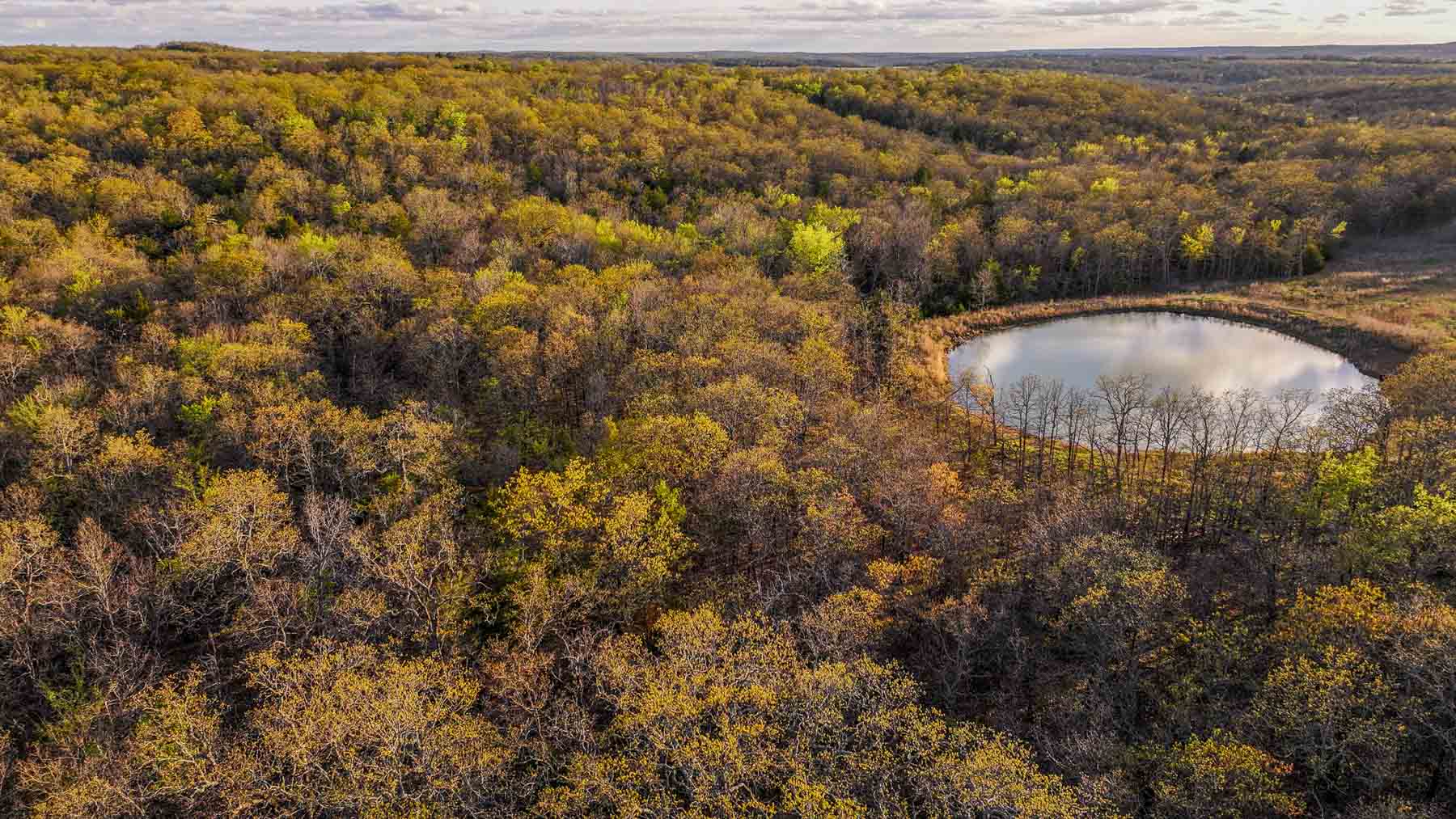 Hilseweck Ranch property picture 88 of 92