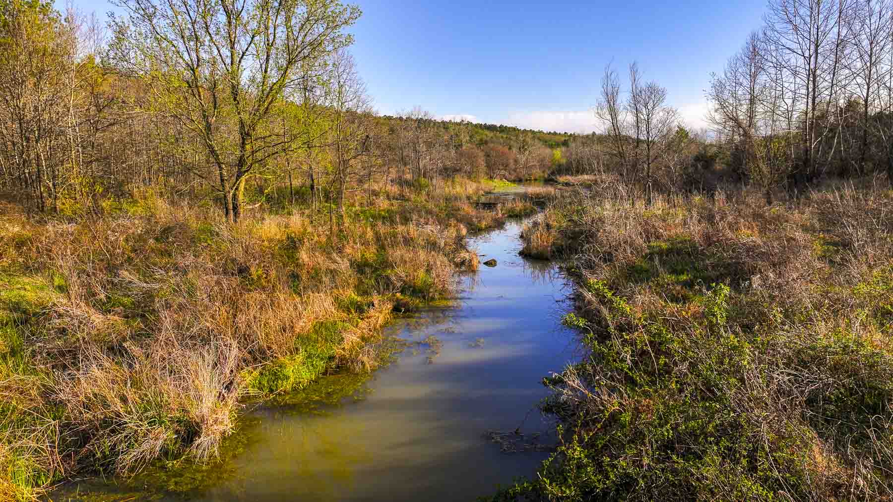 Hilseweck Ranch property picture 65 of 92