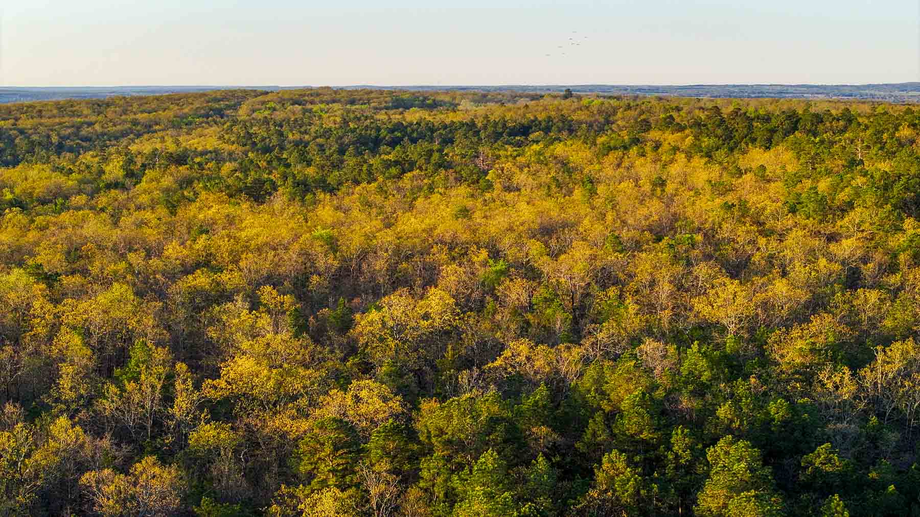 Hilseweck Ranch property picture 89 of 92