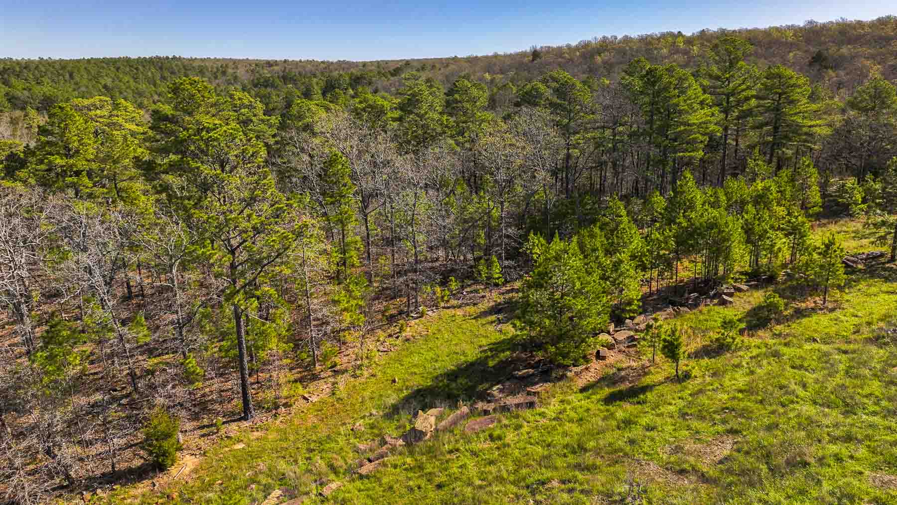 Hilseweck Ranch property picture 75 of 92