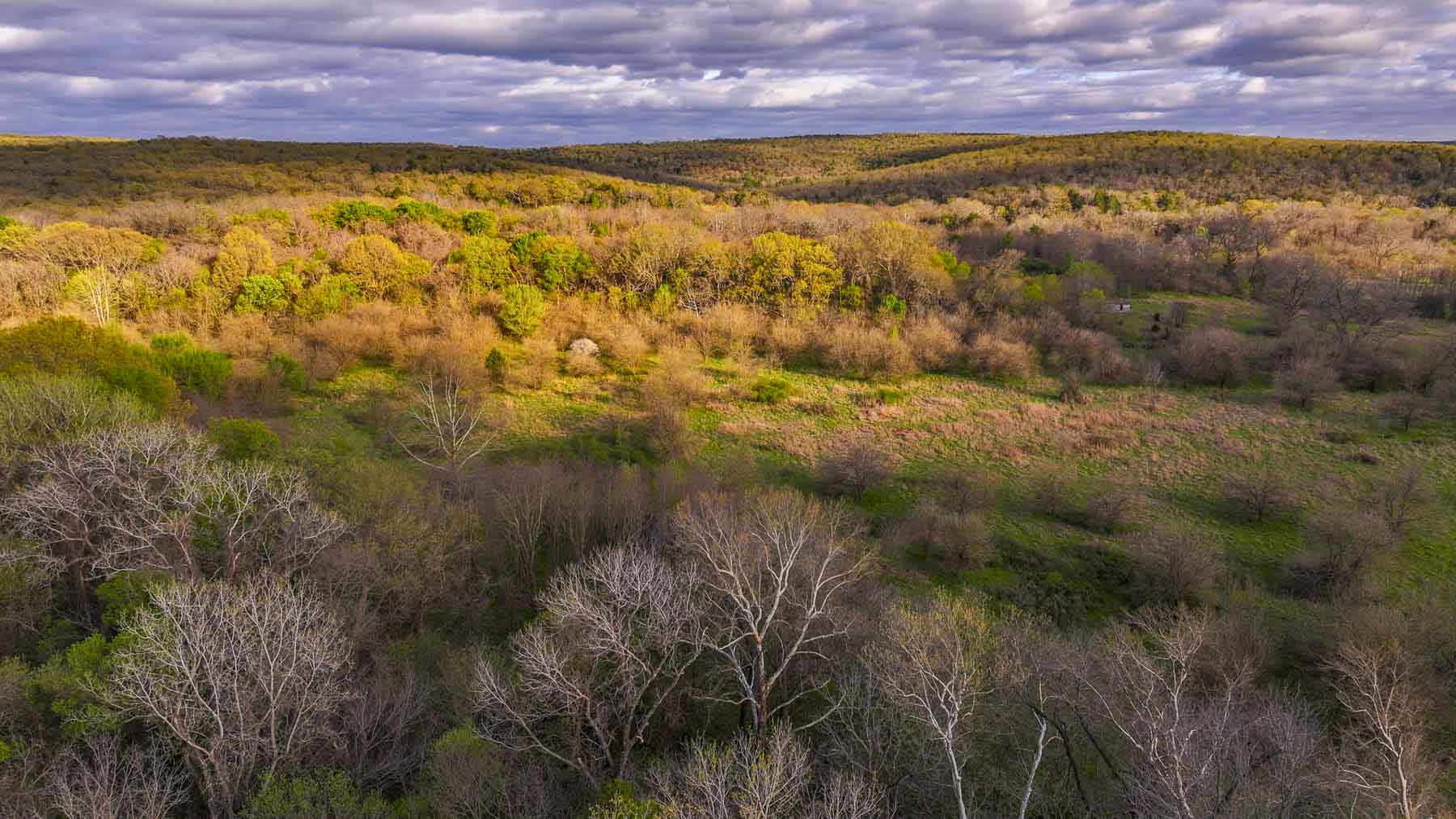 Hilseweck Ranch property picture 53 of 92