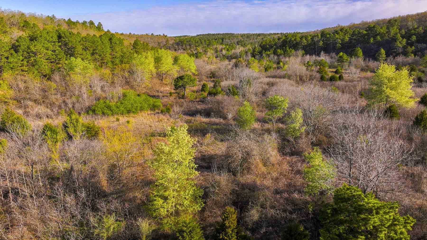 Hilseweck Ranch property picture 45 of 92