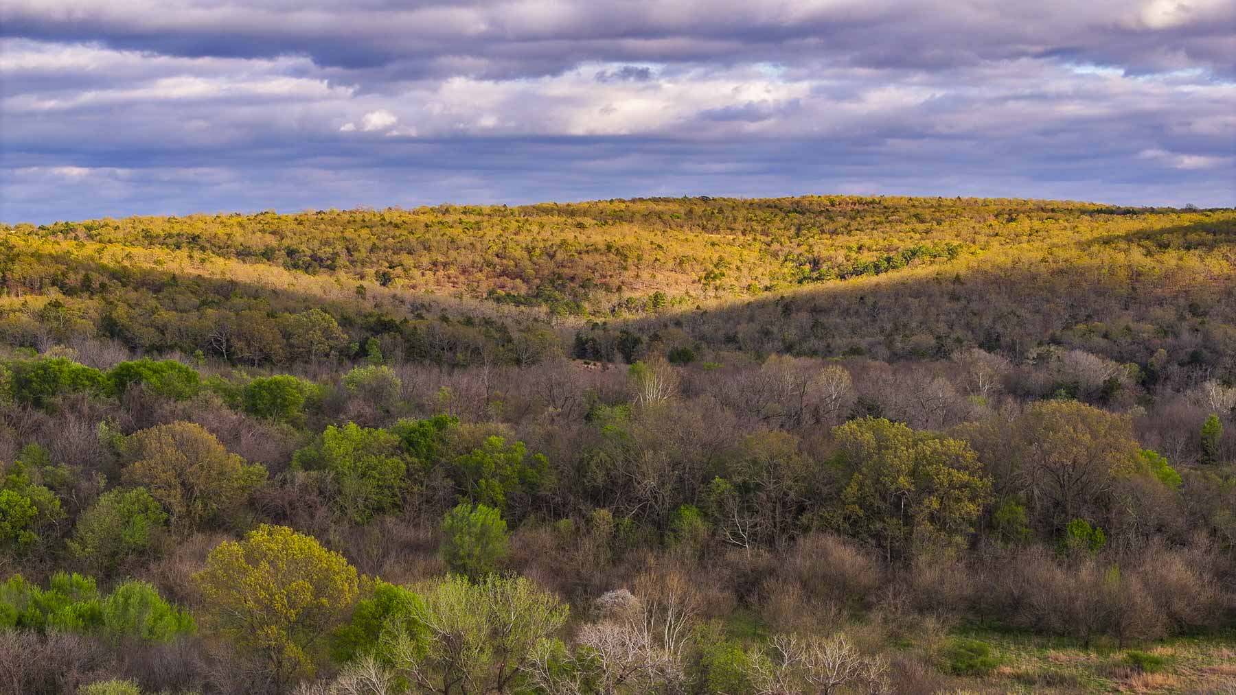 Hilseweck Ranch property picture 24 of 92