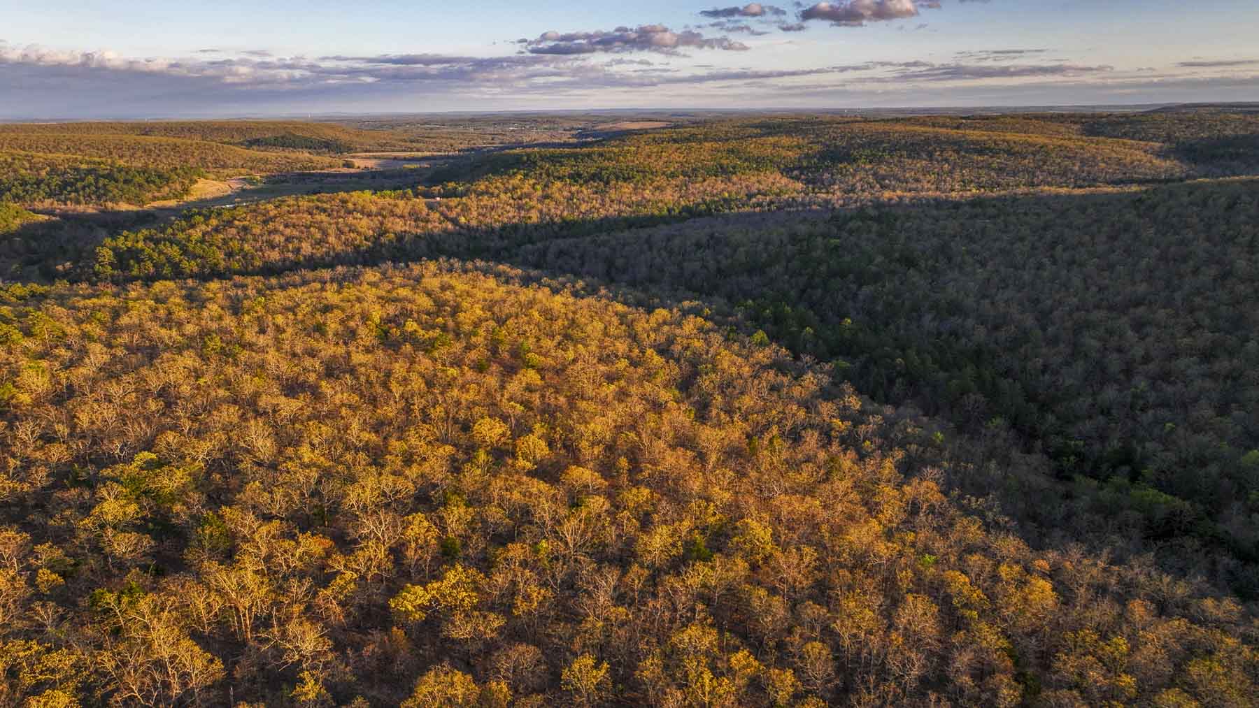 Hilseweck Ranch property picture 61 of 92