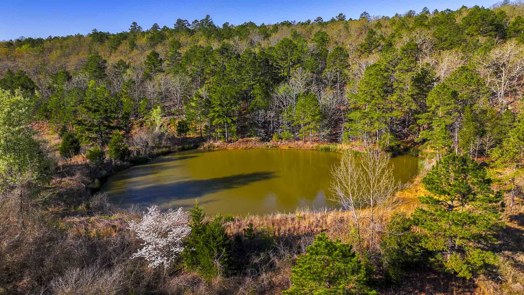 Hilseweck Ranch property picture 46 of 92