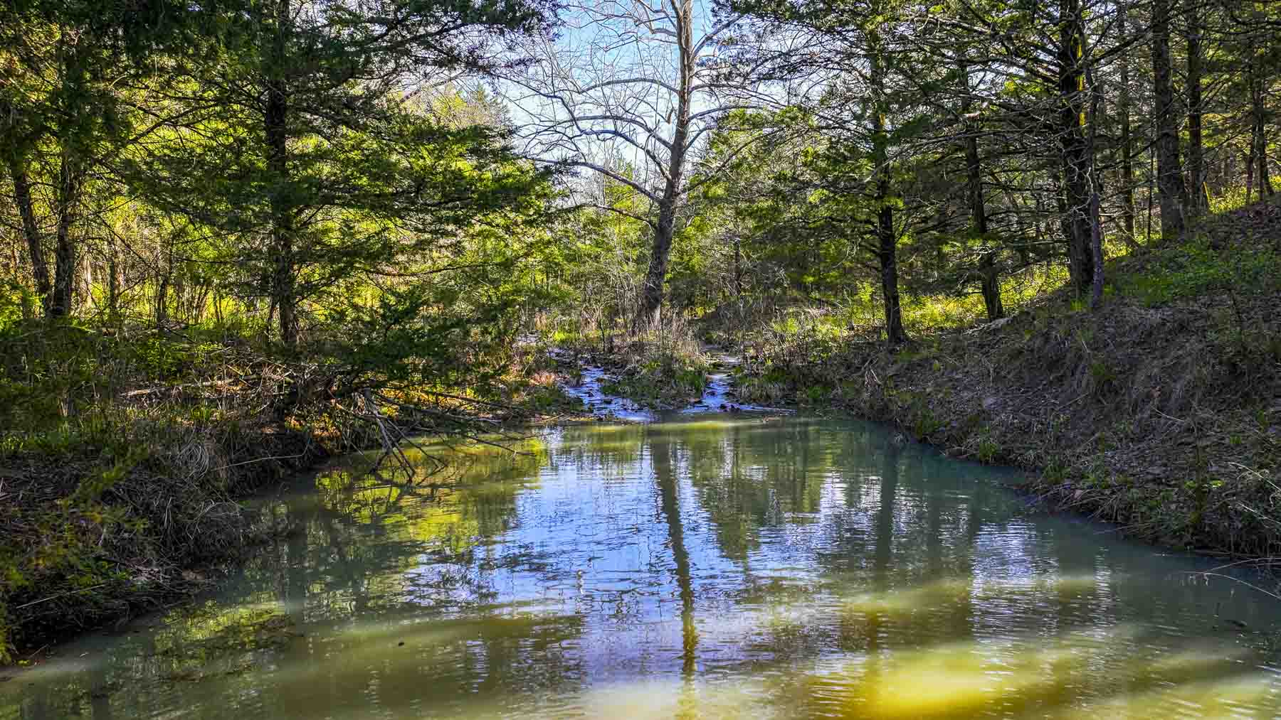 Hilseweck Ranch property picture 6 of 92