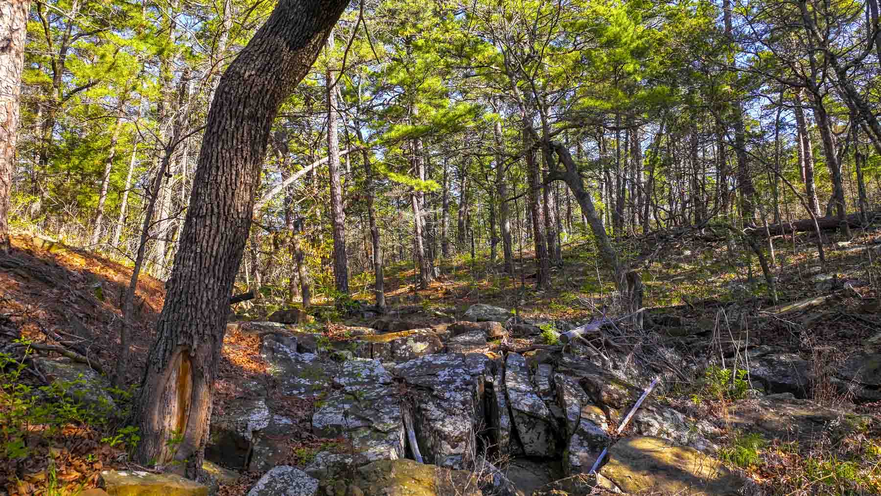 Hilseweck Ranch property picture 51 of 92