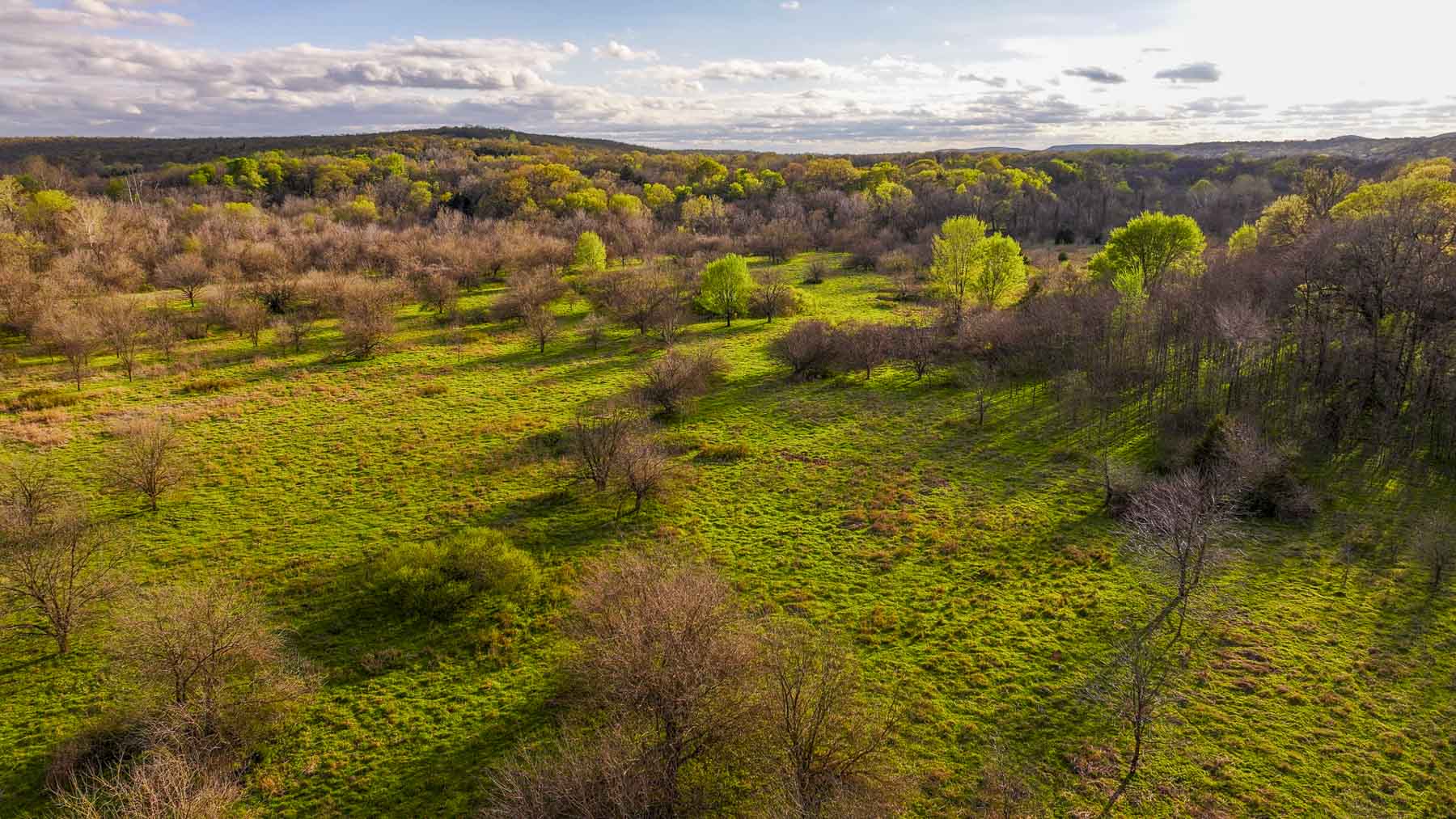 Hilseweck Ranch property picture 26 of 92