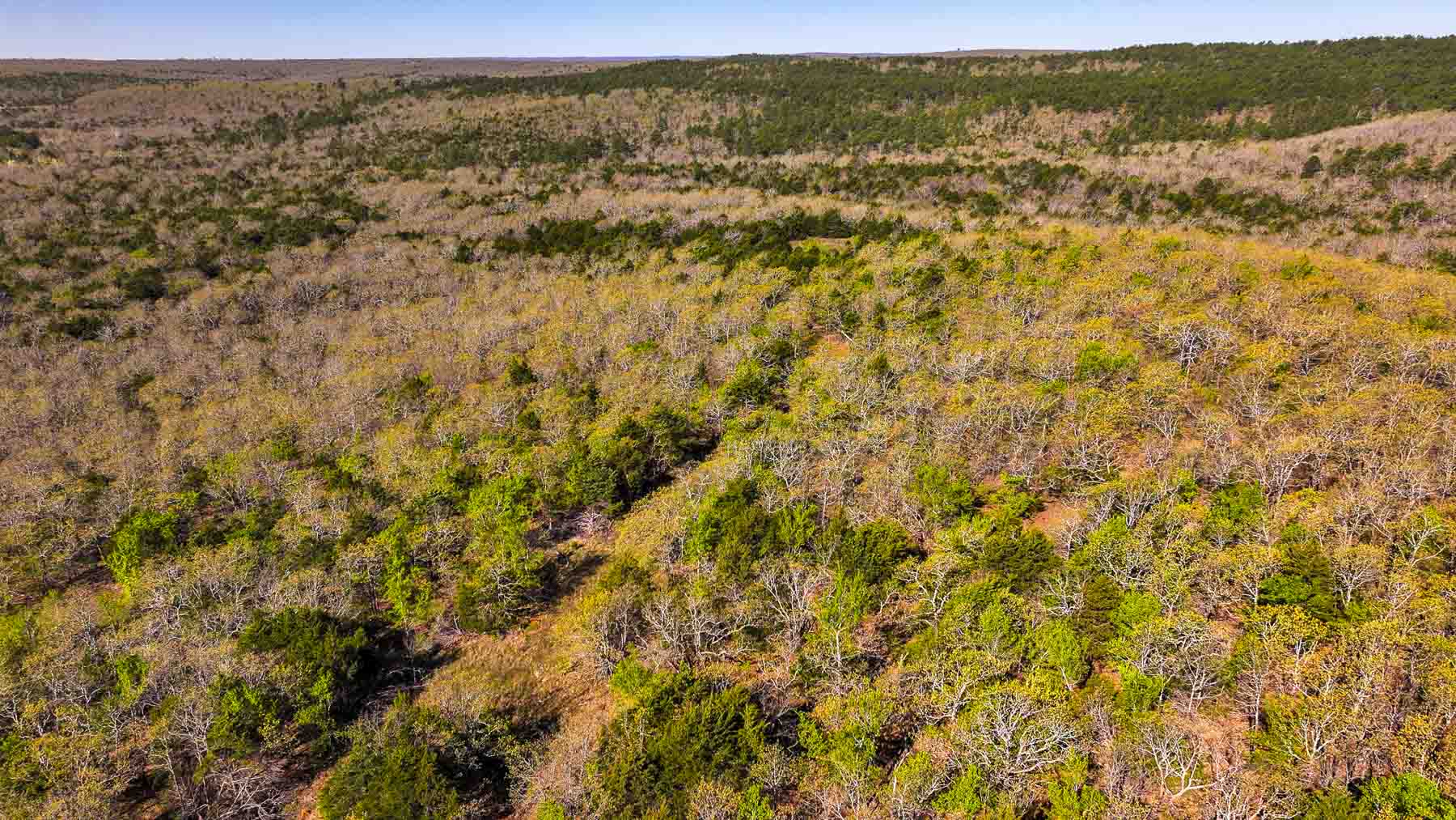 Hilseweck Ranch property picture 84 of 92