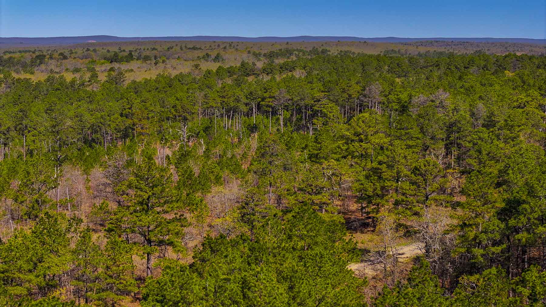 Hilseweck Ranch property picture 78 of 92