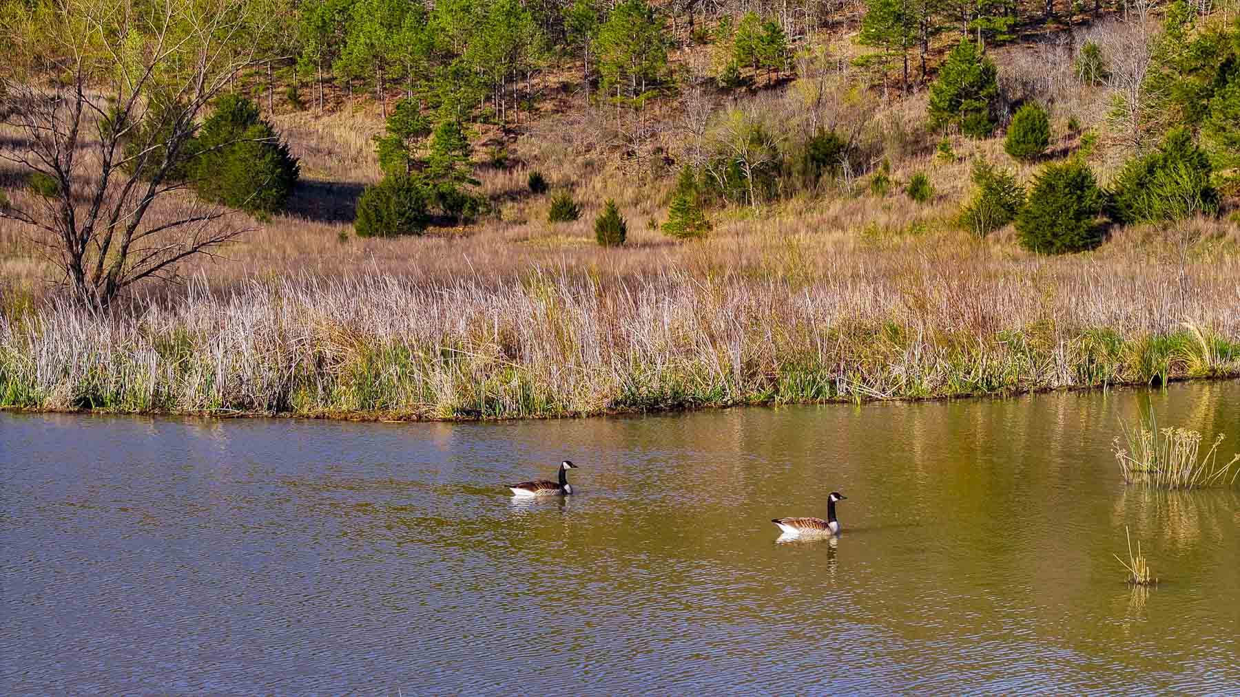 Hilseweck Ranch property picture 8 of 92
