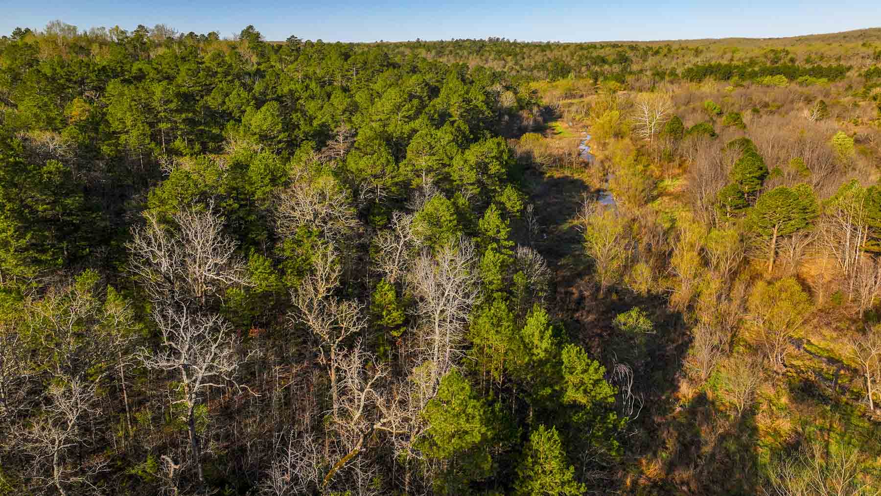 Hilseweck Ranch property picture 68 of 92