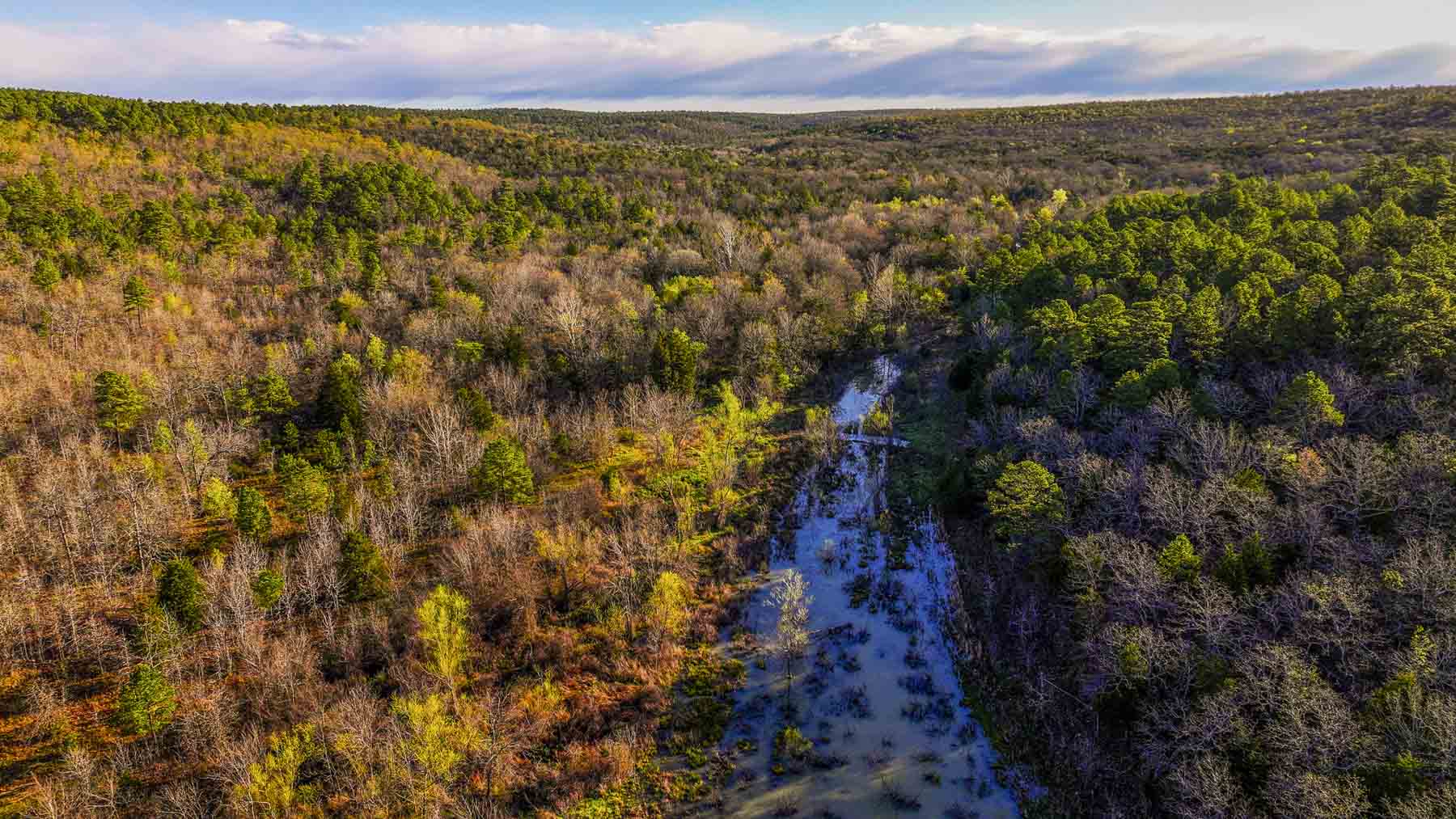 Hilseweck Ranch property picture 66 of 92