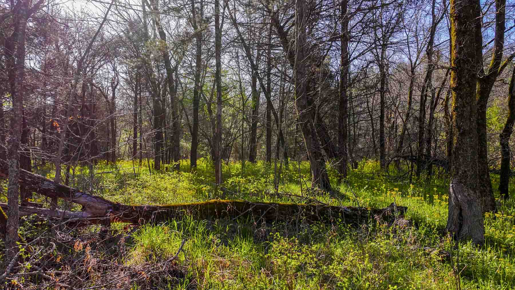 Hilseweck Ranch property picture 50 of 92