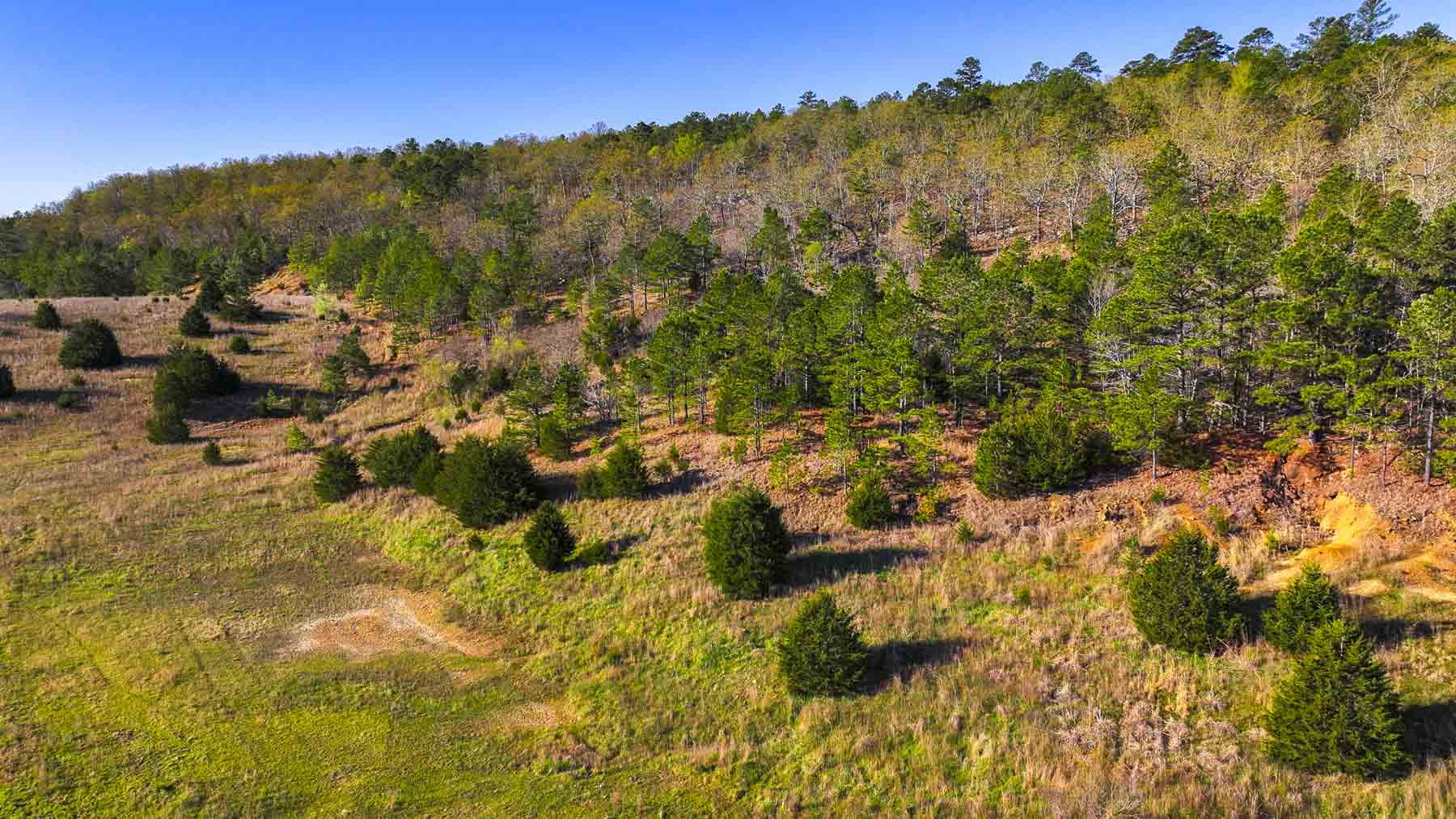 Hilseweck Ranch property picture 47 of 92