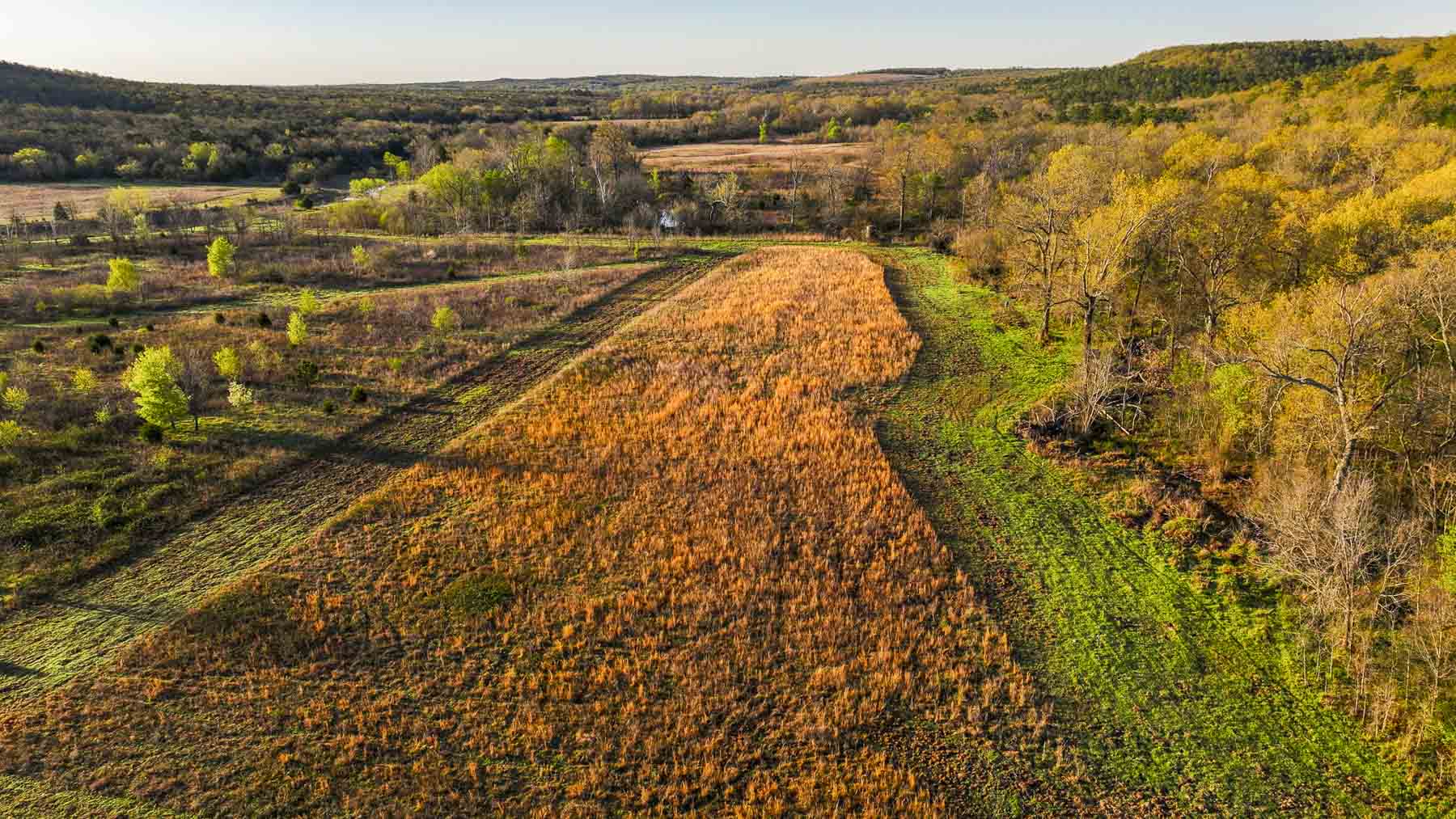 Hilseweck Ranch property picture 10 of 92