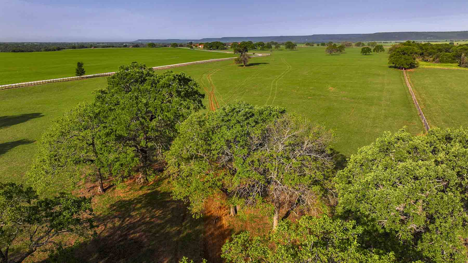 Texas River Ranch property picture 61 of 84