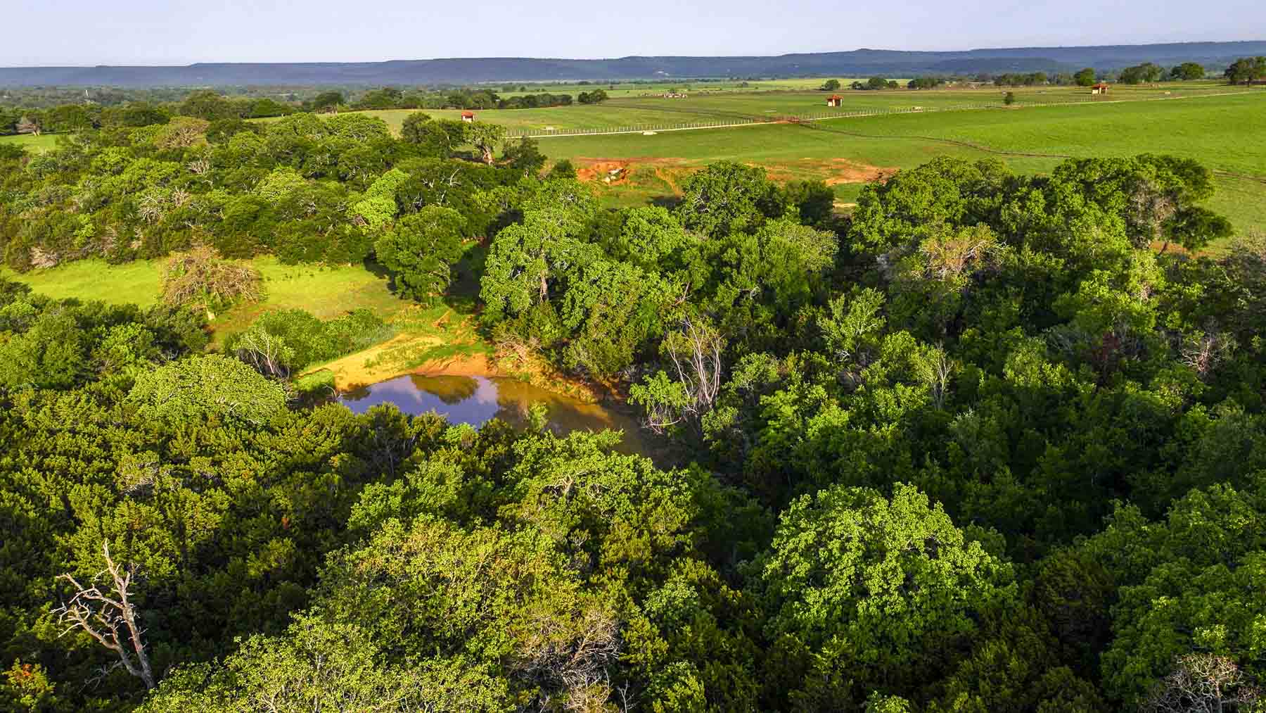 Texas River Ranch property picture 74 of 84