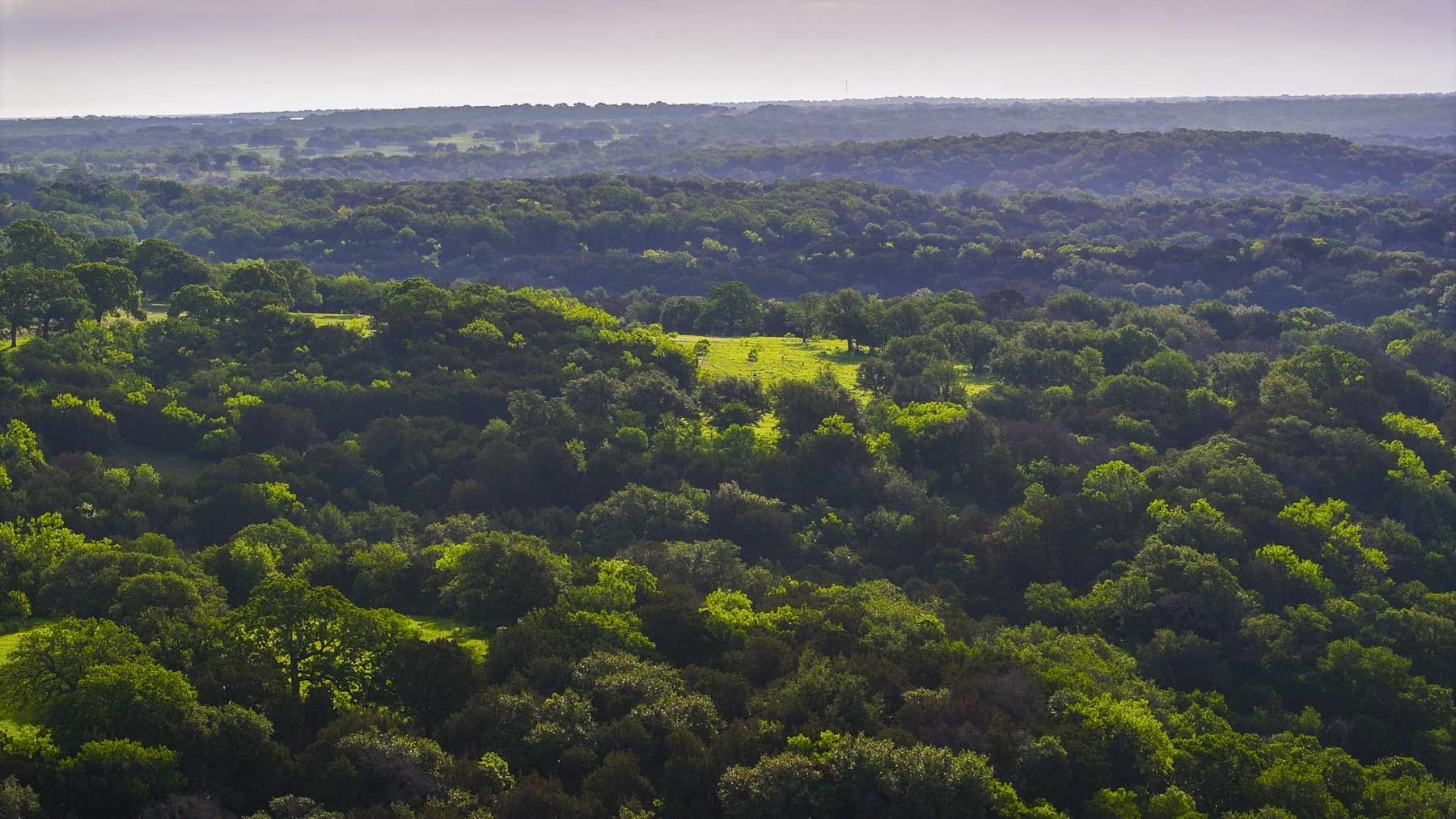 Texas River Ranch property picture 58 of 84