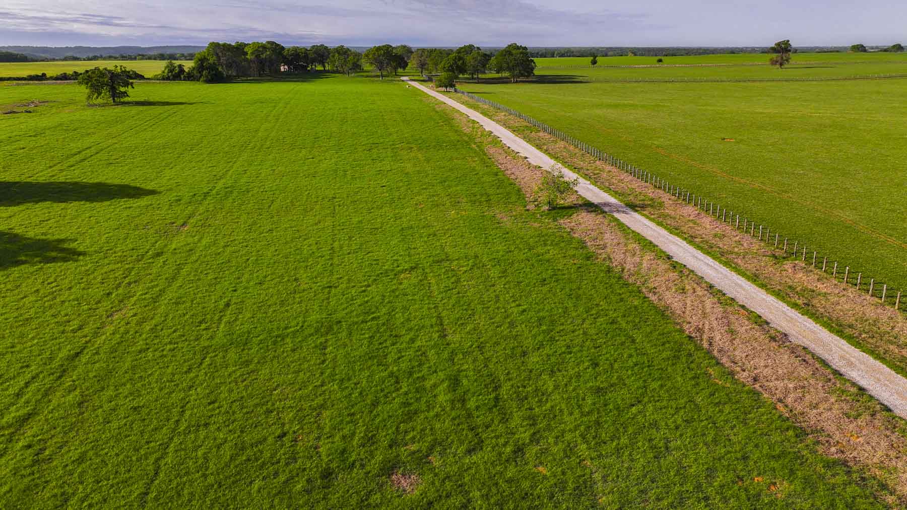 Texas River Ranch property picture 19 of 84