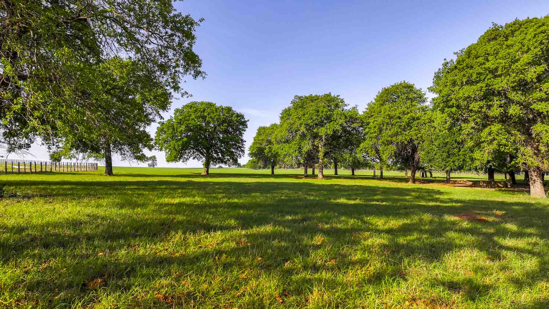 Texas River Ranch property picture 80 of 84