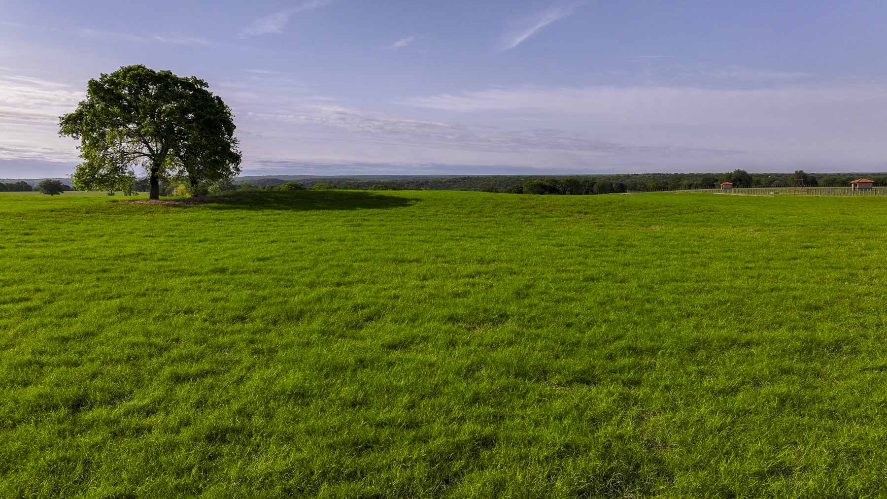 Texas River Ranch property picture 78 of 84