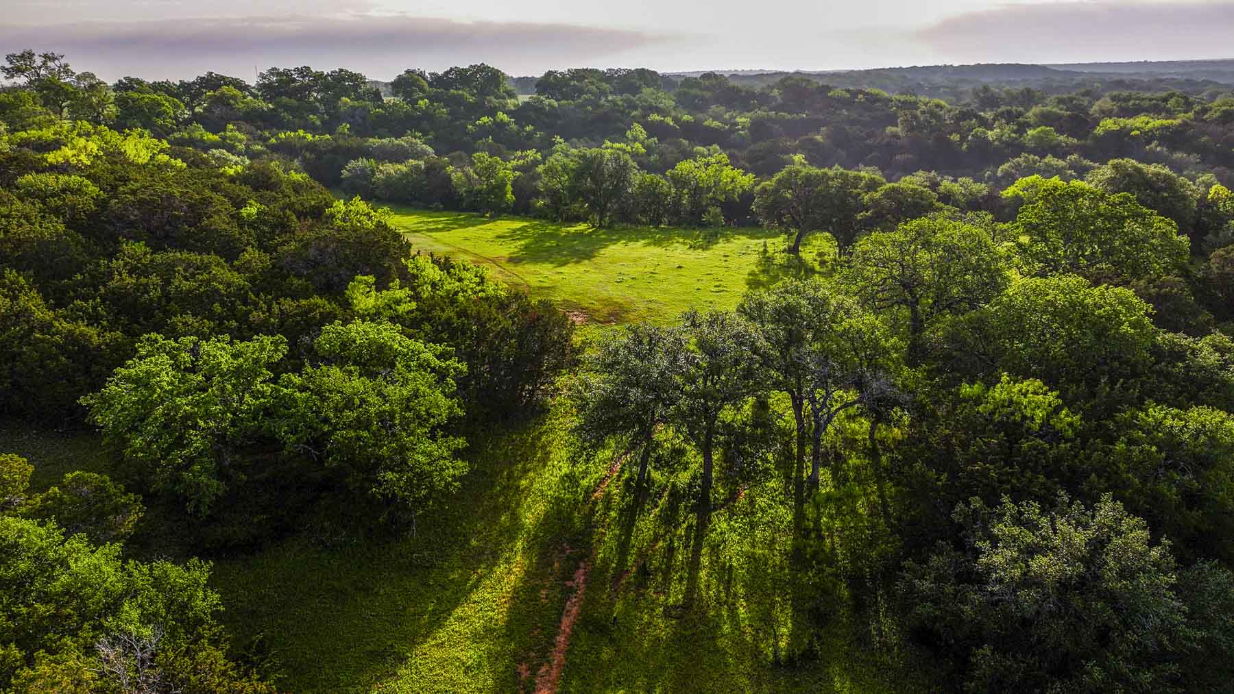 Texas River Ranch property picture 41 of 84