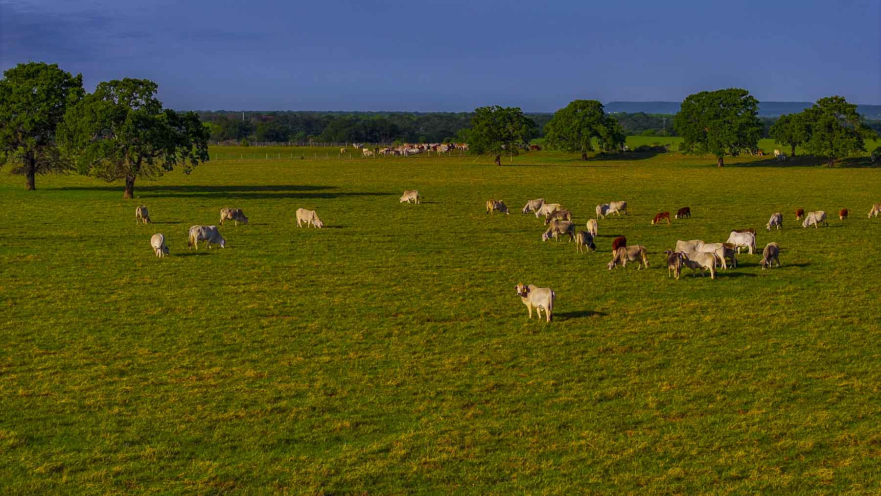 Texas River Ranch property picture 5 of 84