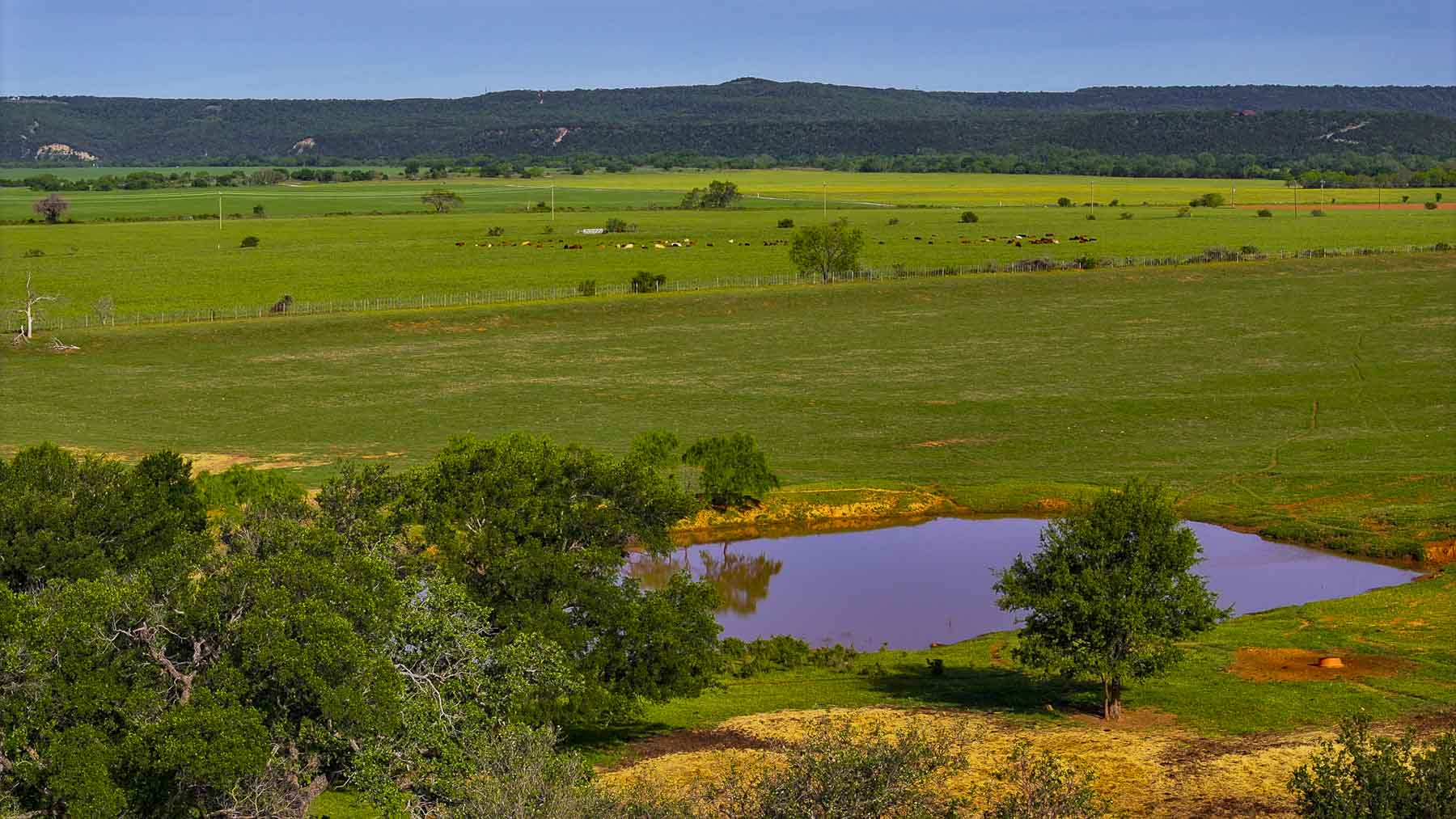 Texas River Ranch property picture 66 of 84
