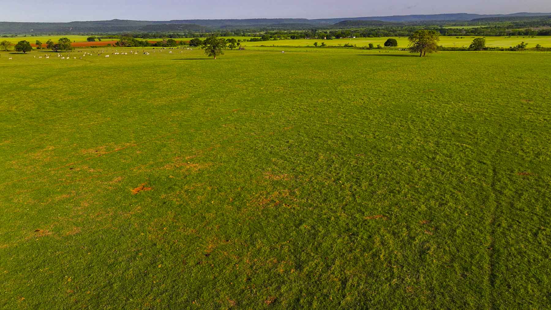 Texas River Ranch property picture 46 of 84