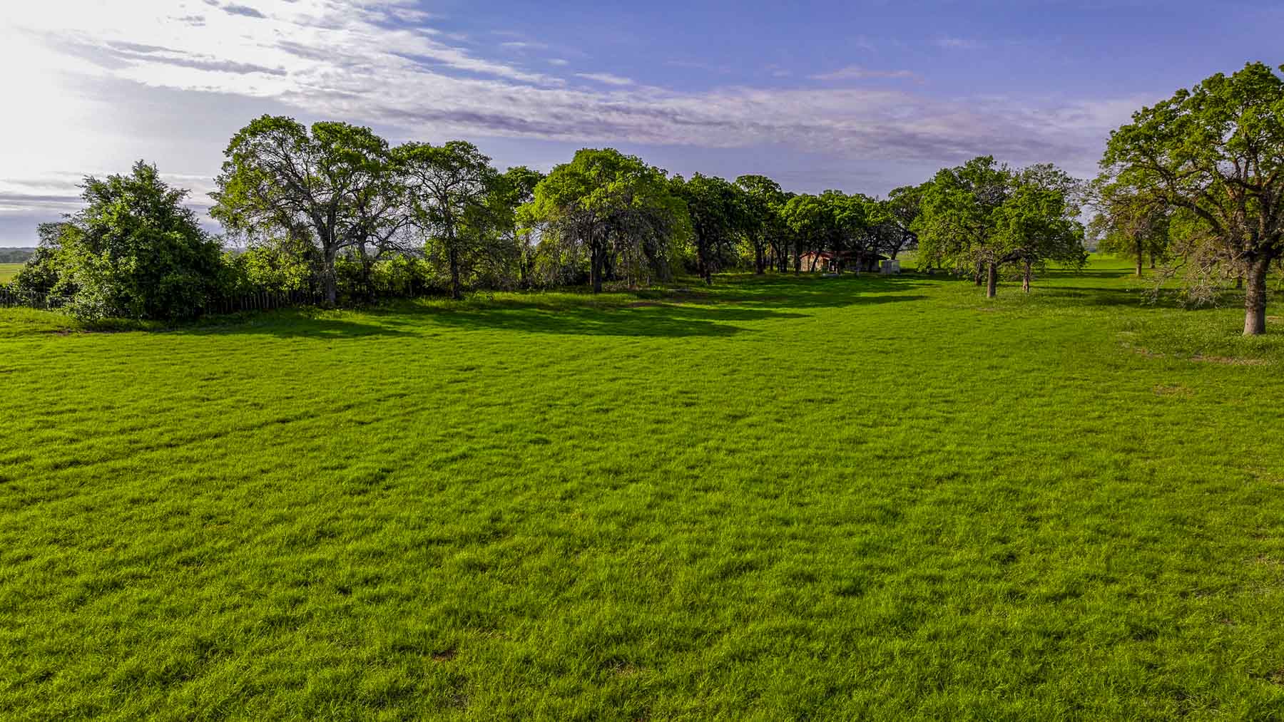 Texas River Ranch property picture 71 of 84