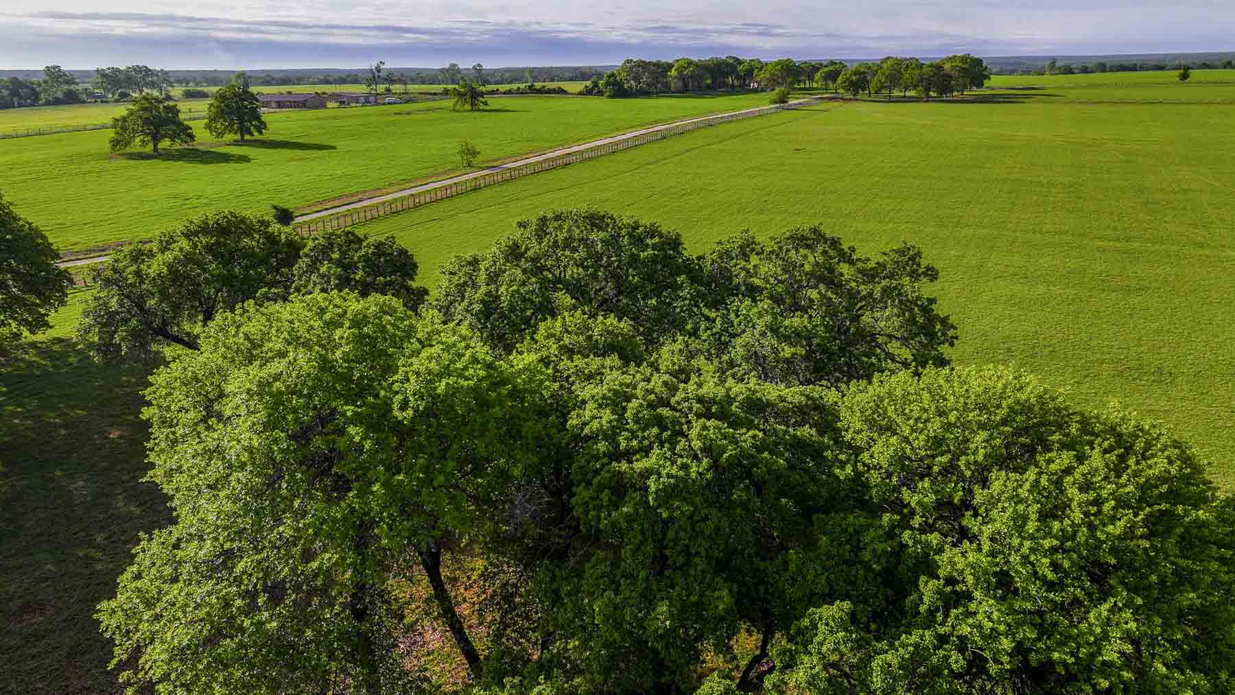 Texas River Ranch property picture 83 of 84