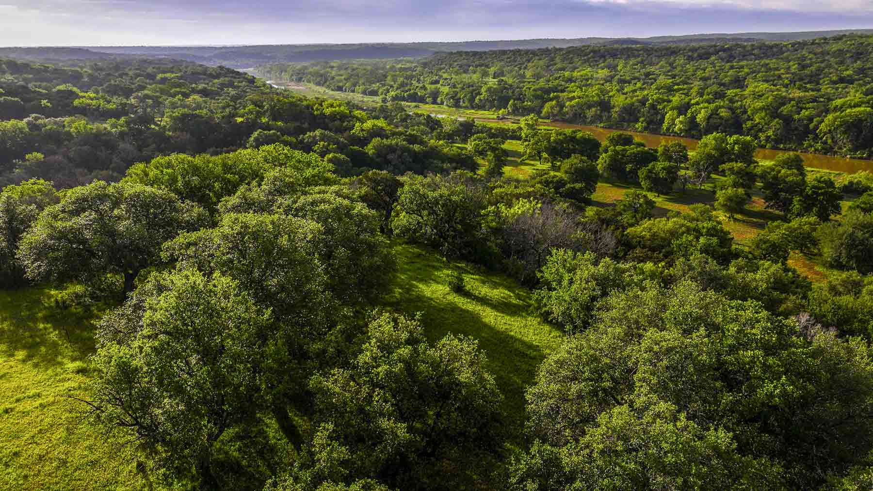 Texas River Ranch property picture 81 of 84