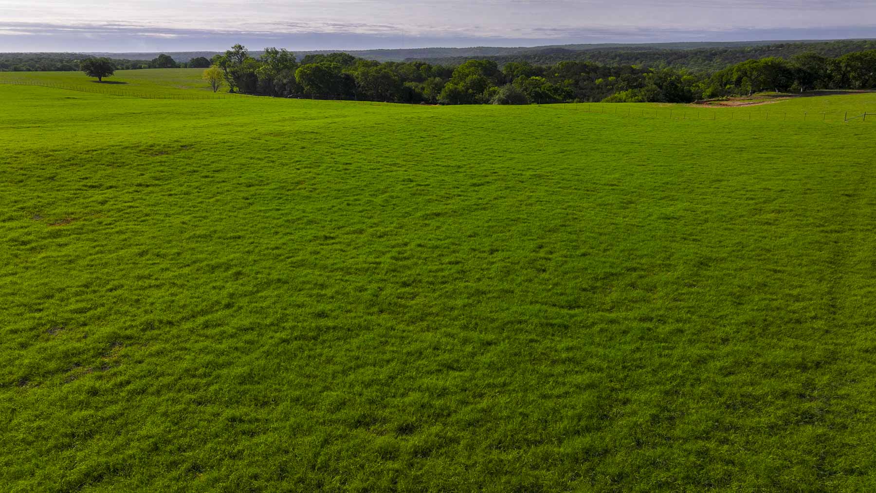 Texas River Ranch property picture 52 of 84