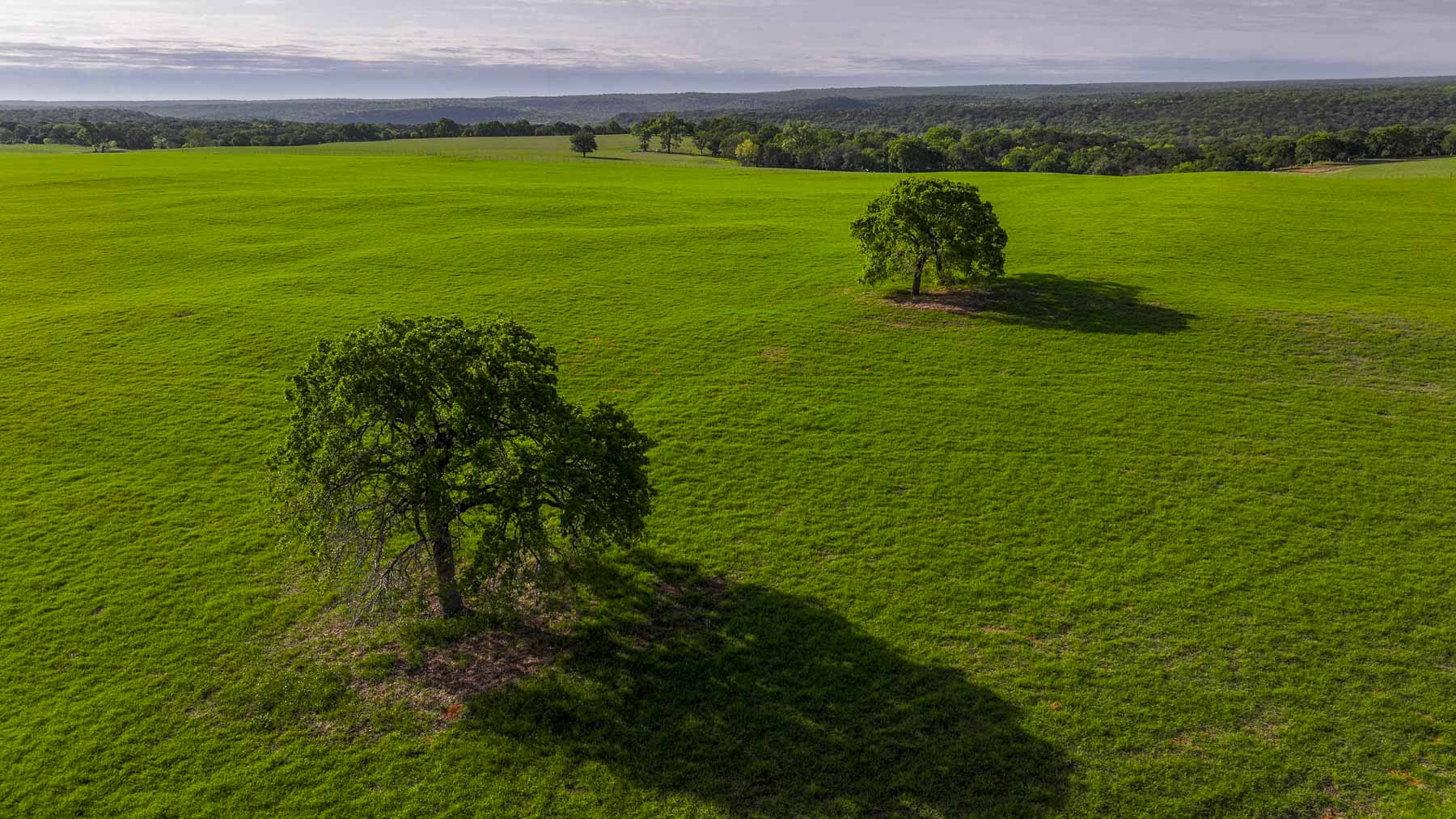 Texas River Ranch property picture 50 of 84