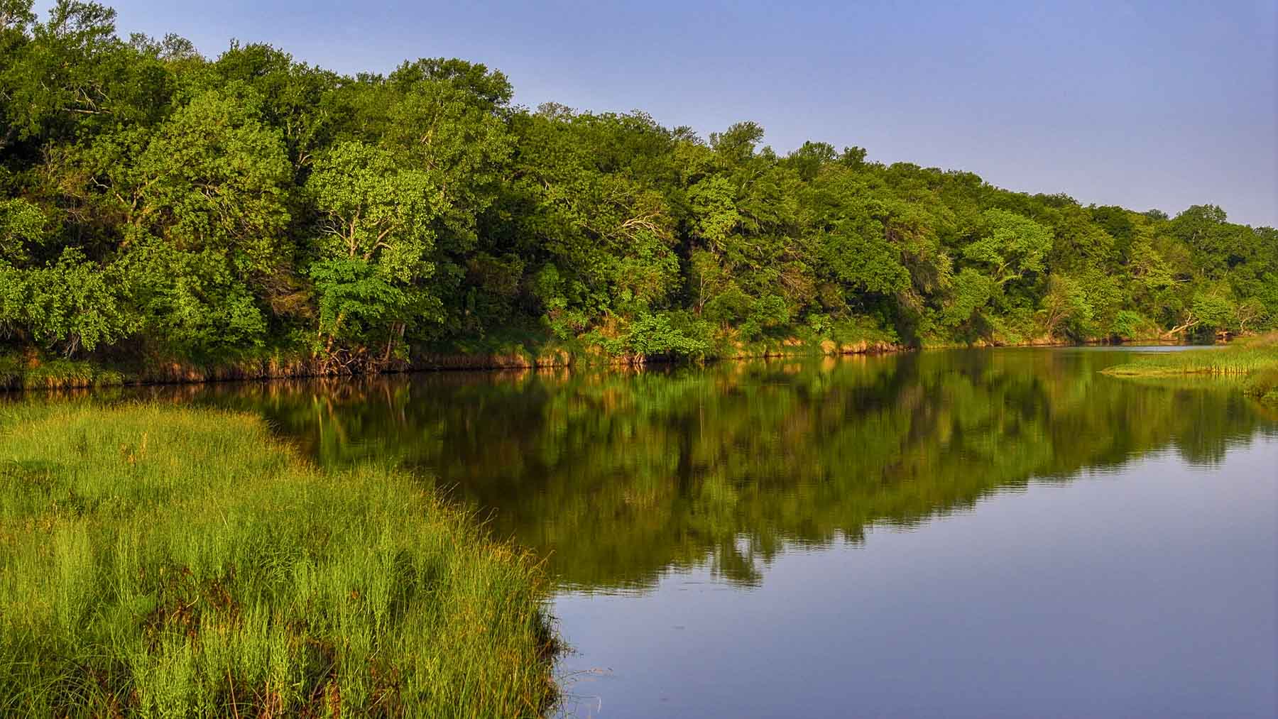 Texas River Ranch property picture 68 of 84