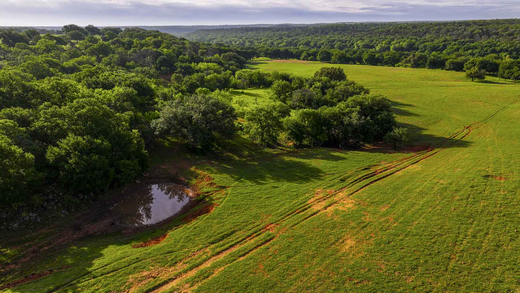 Texas River Ranch property picture 70 of 84